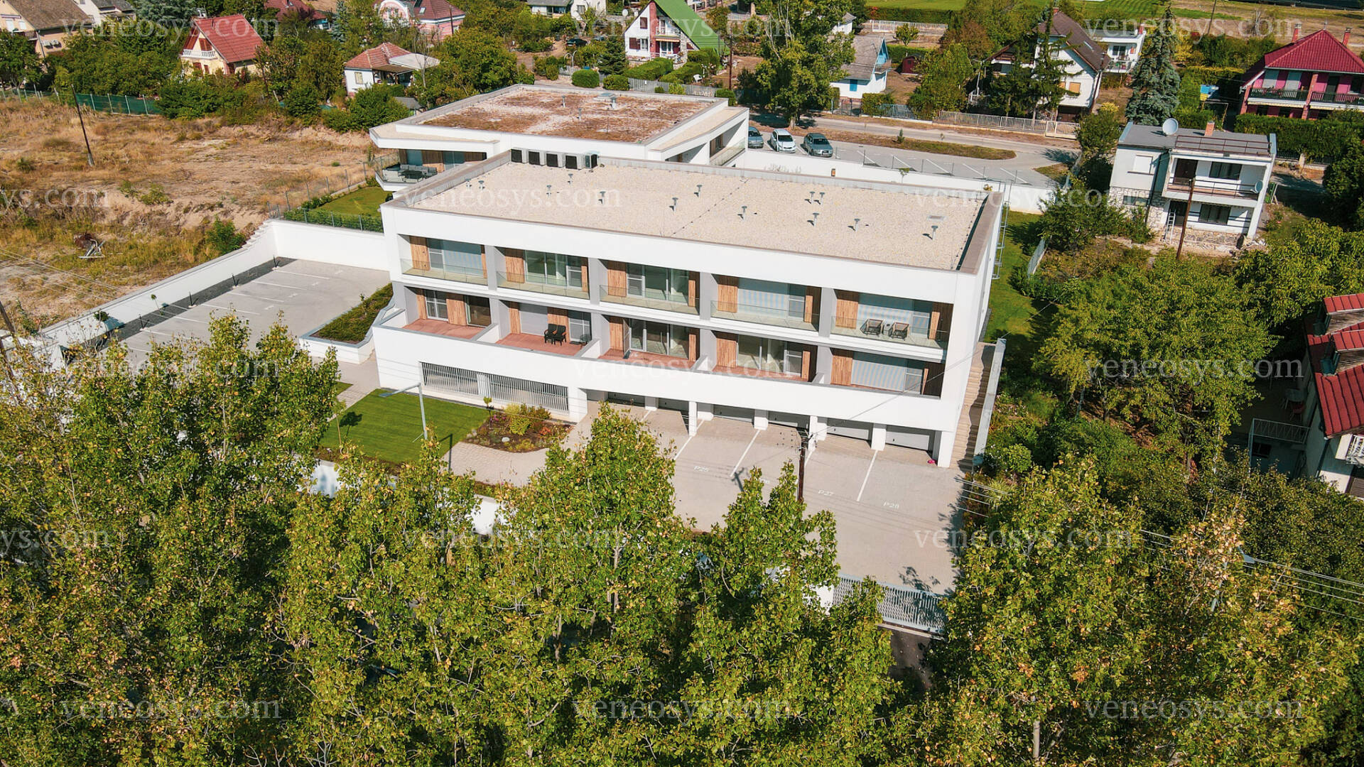 Kép 6