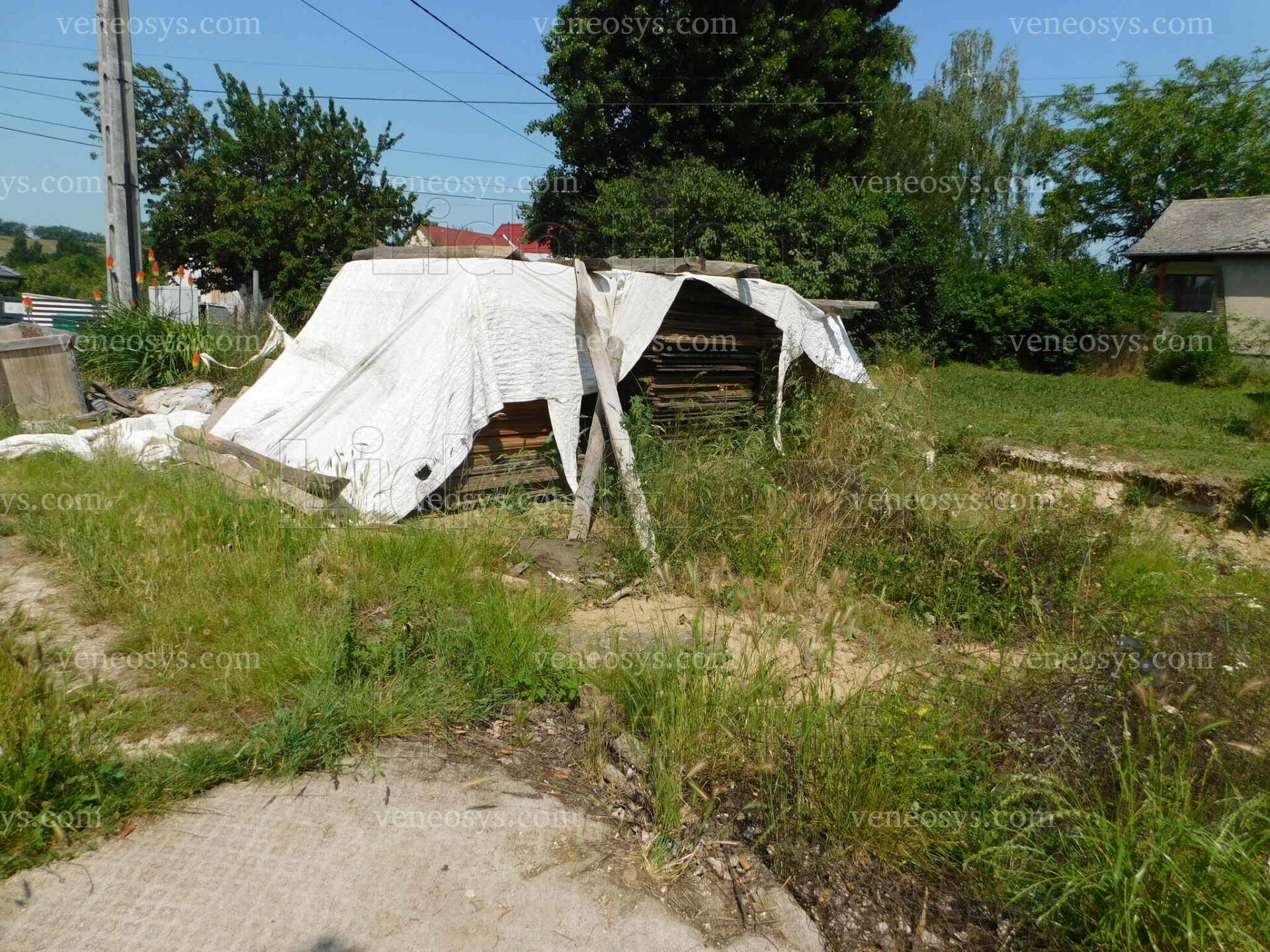 Kép 17