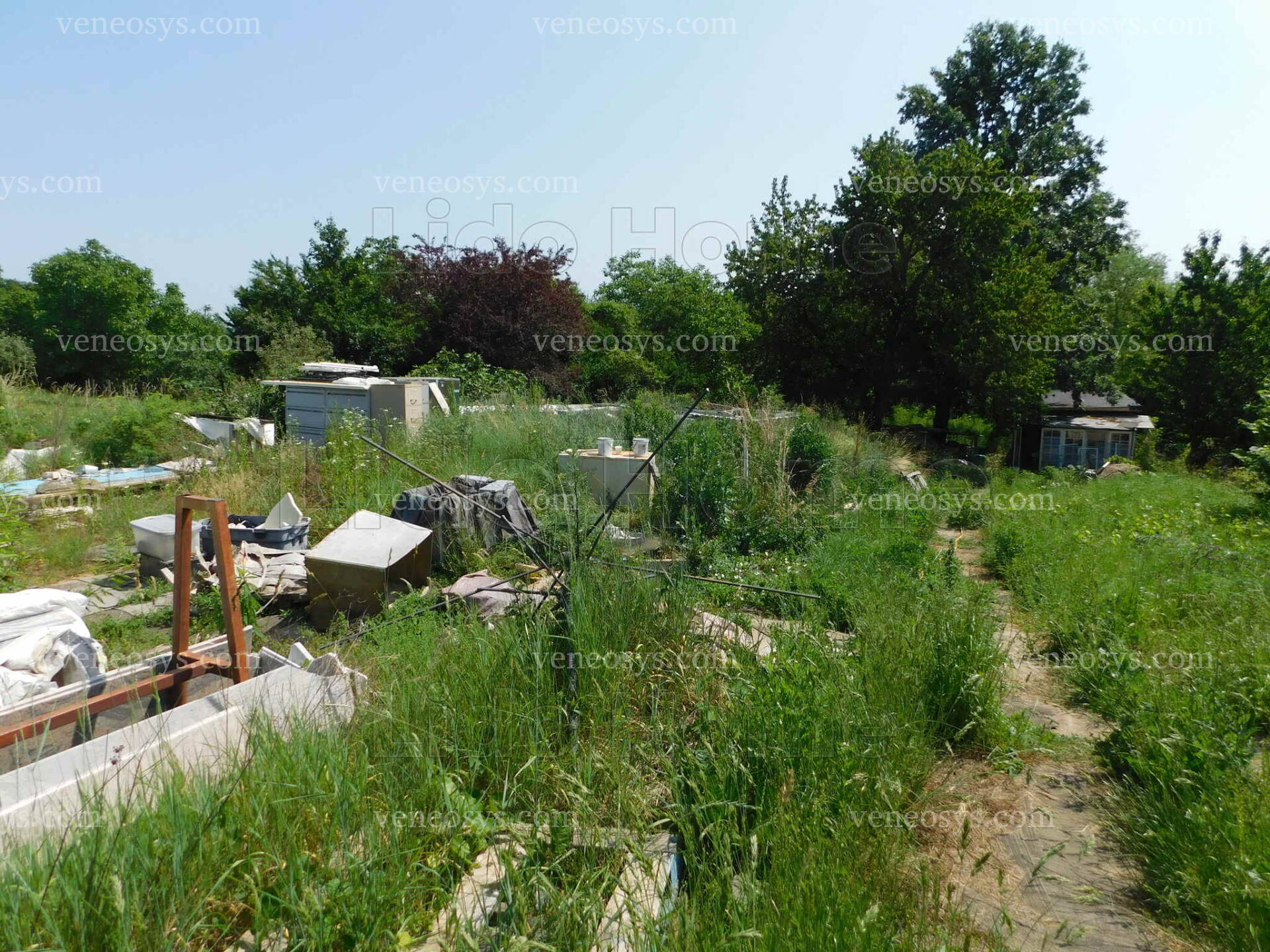 Kép 14