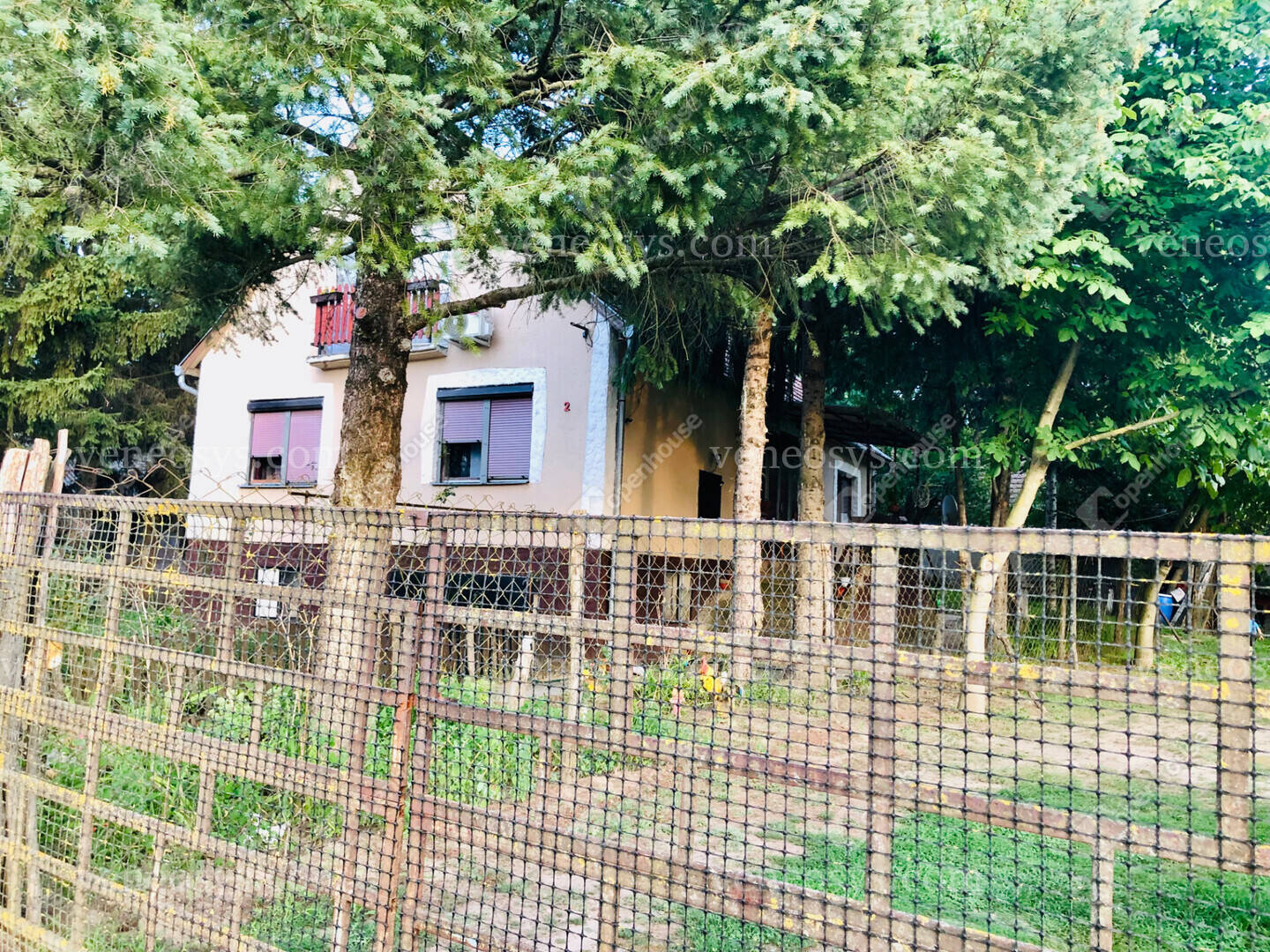 Kép 7