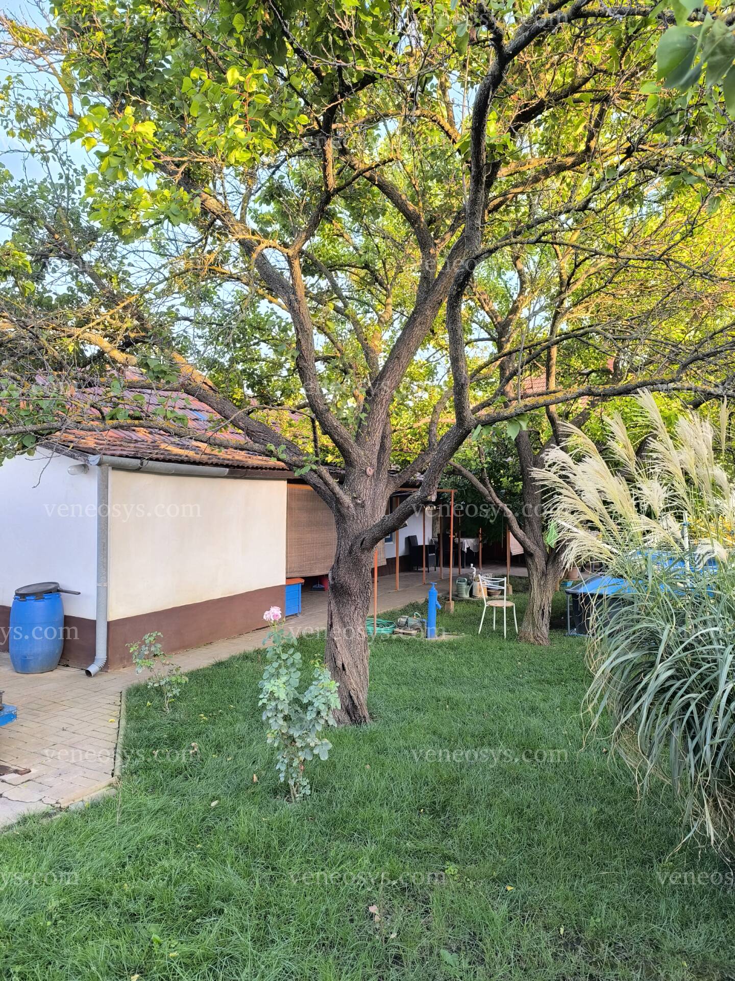 Kép 8