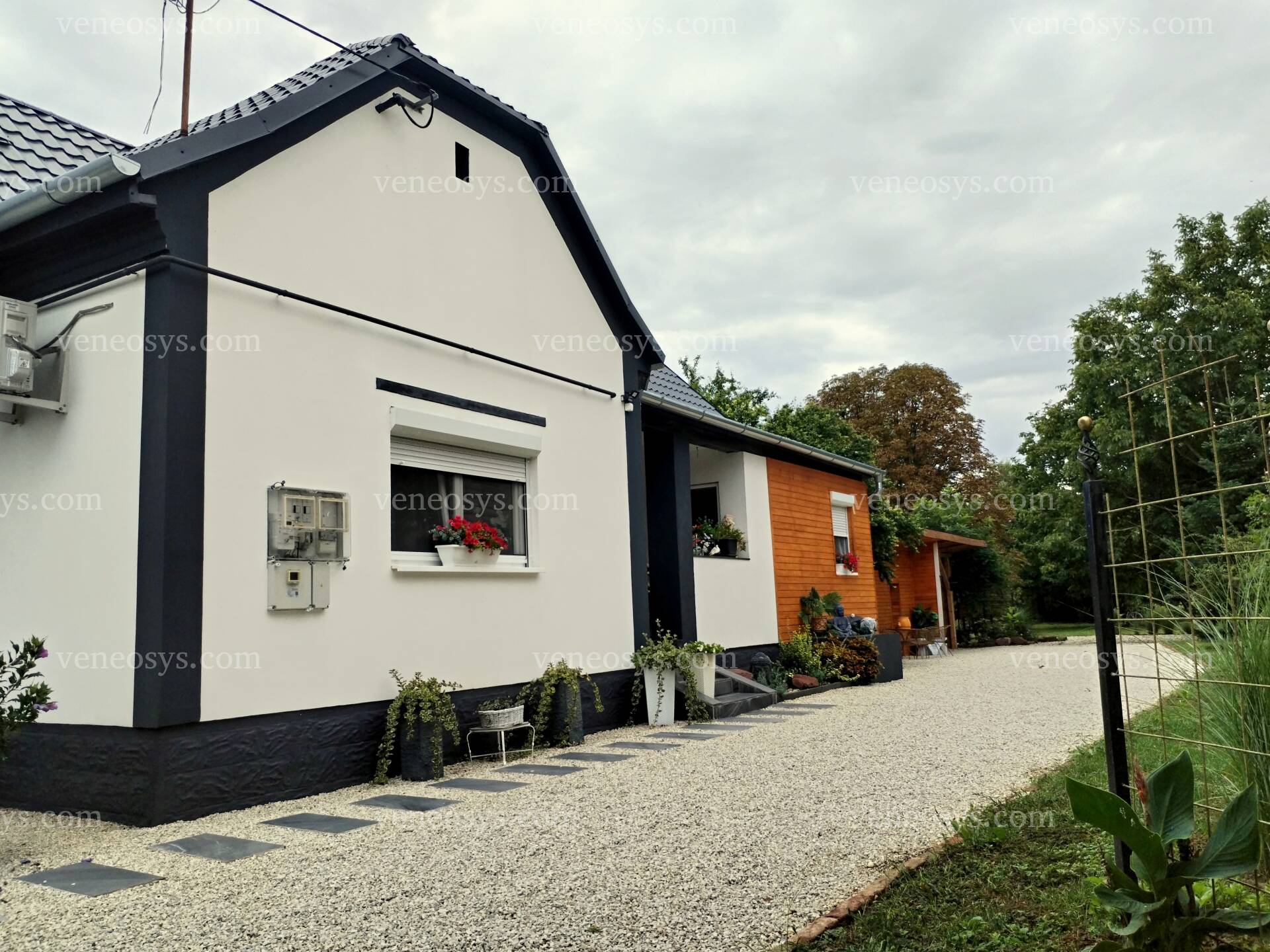 Kép 3