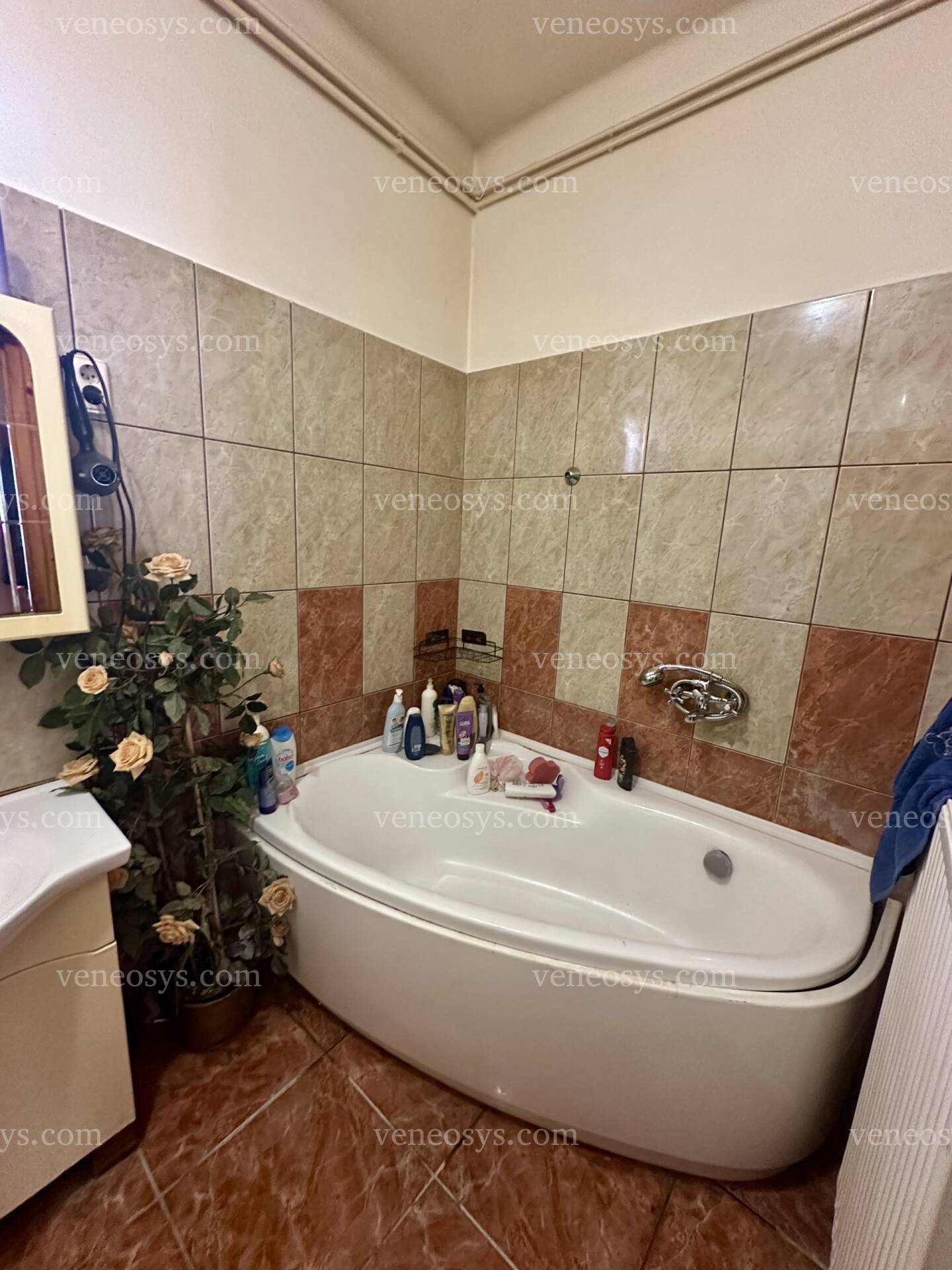 Kép 13