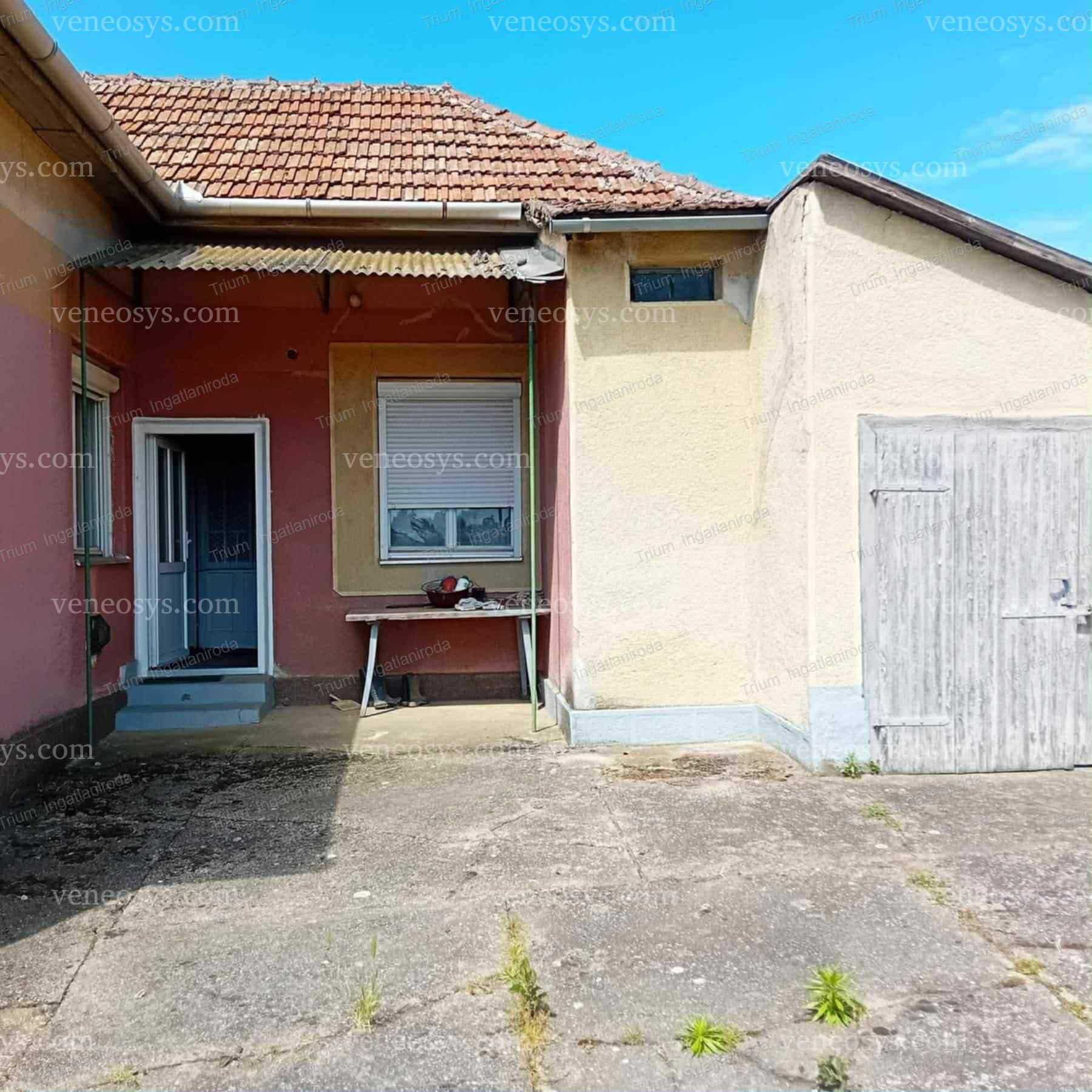Kép 10