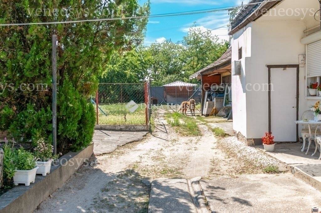 Kép 14
