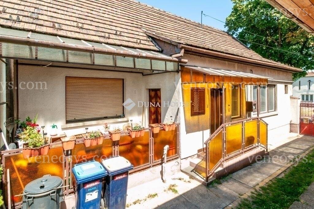 Kép 15