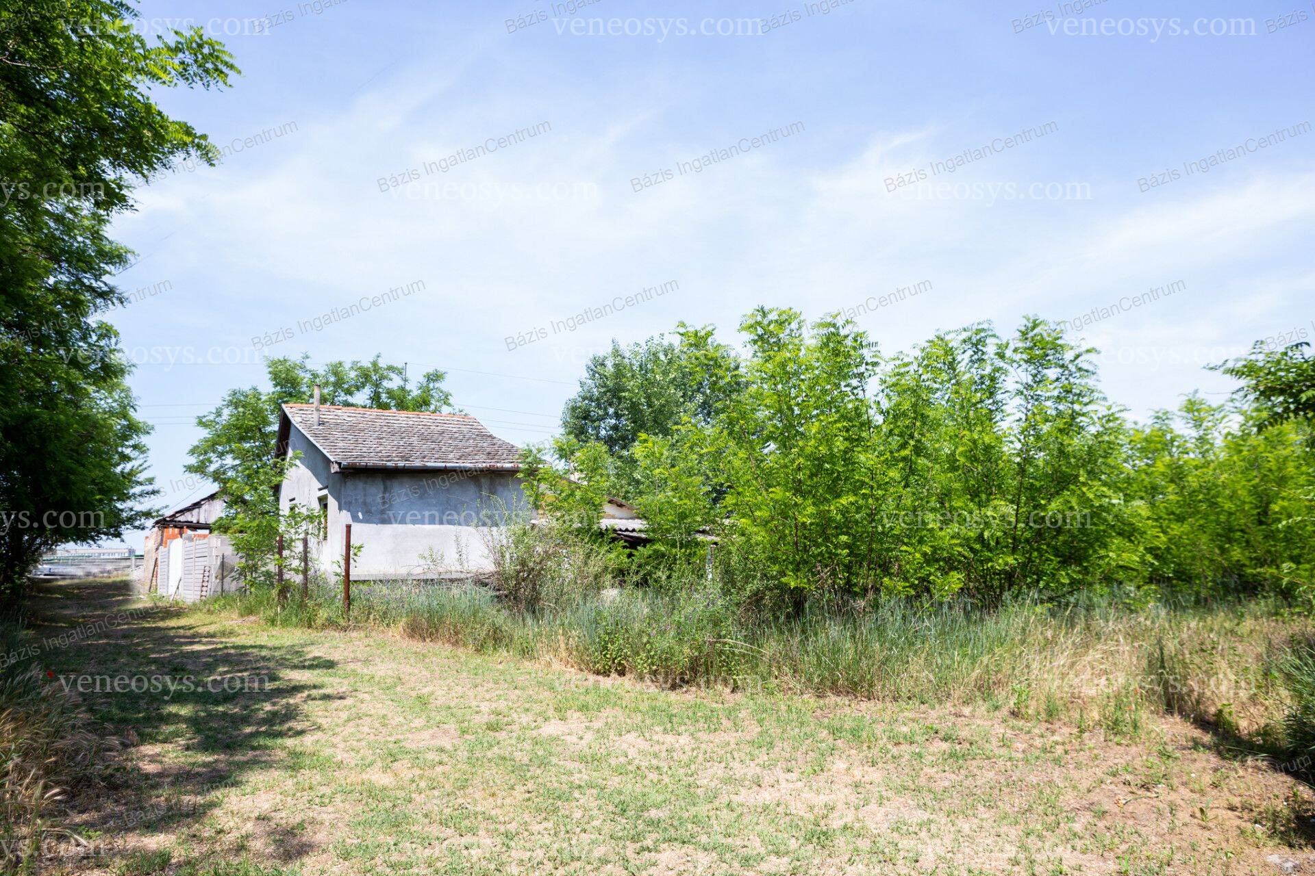 Kép 3