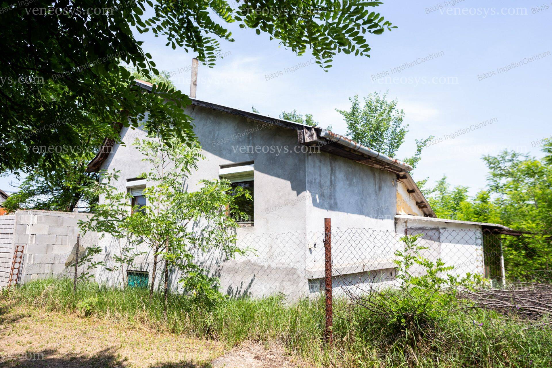 Kép 4