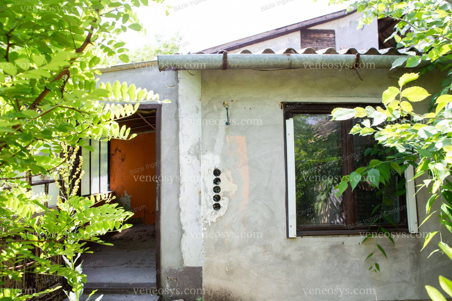 Kép 15