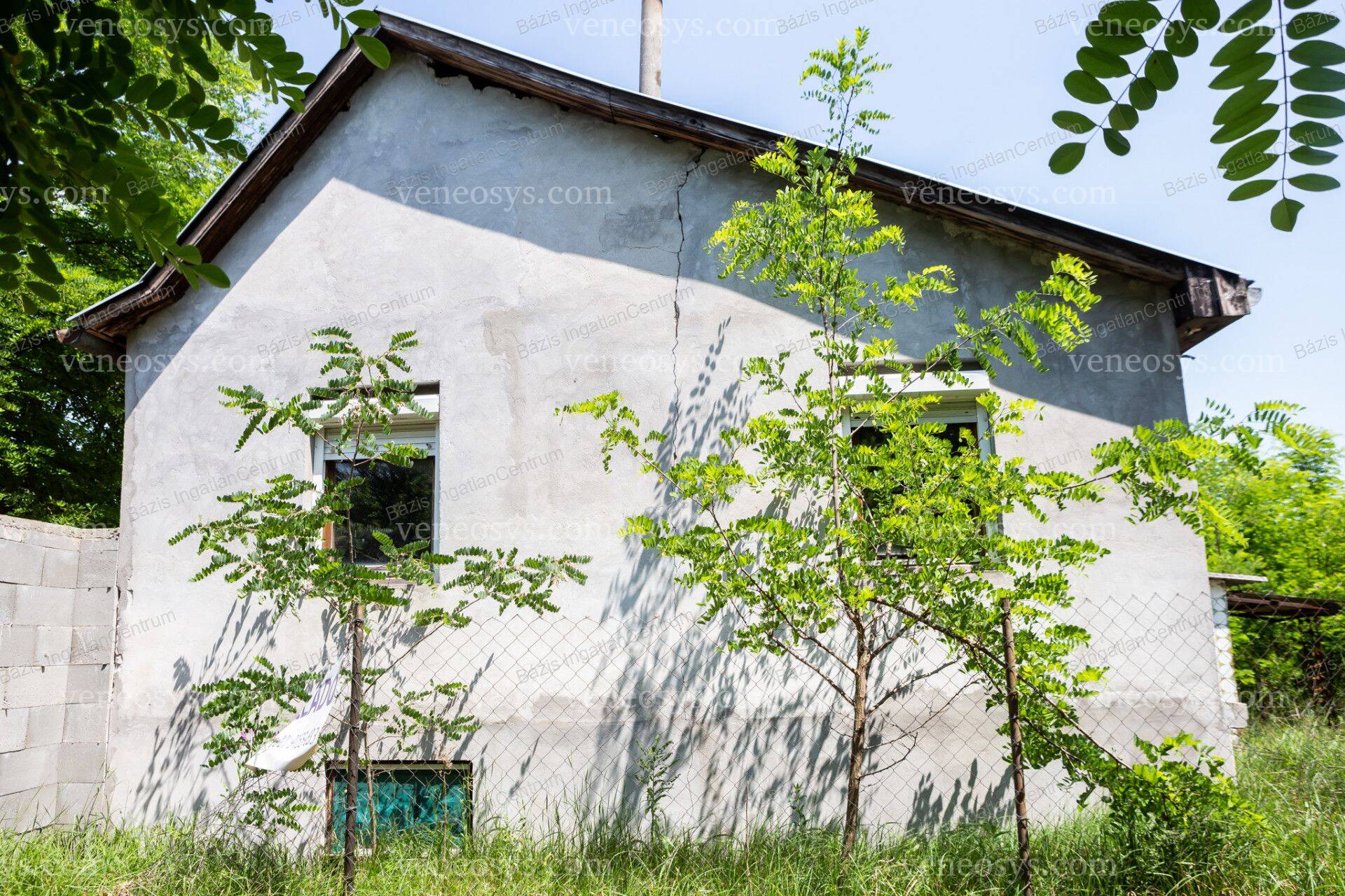 Kép 5