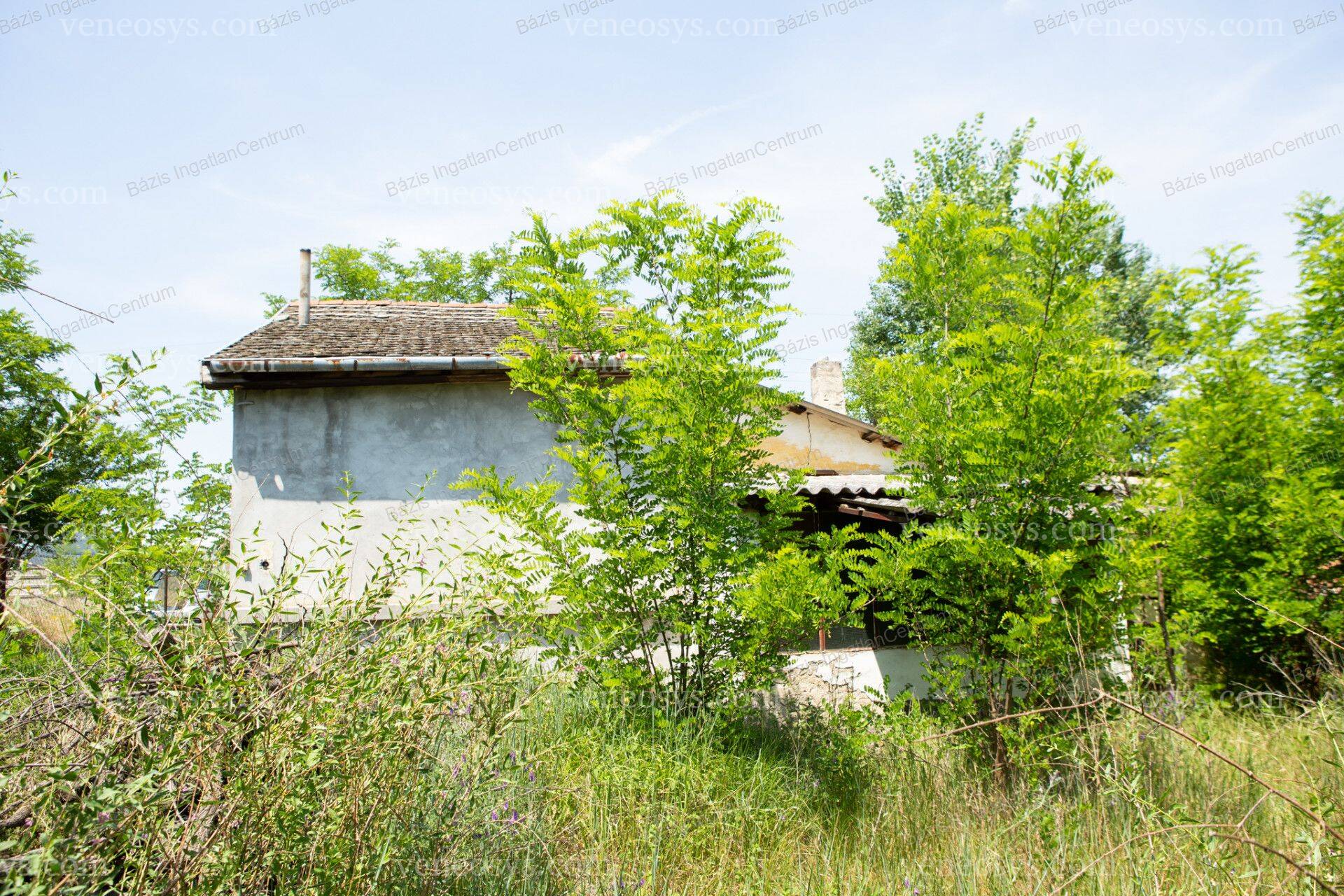 Kép 17