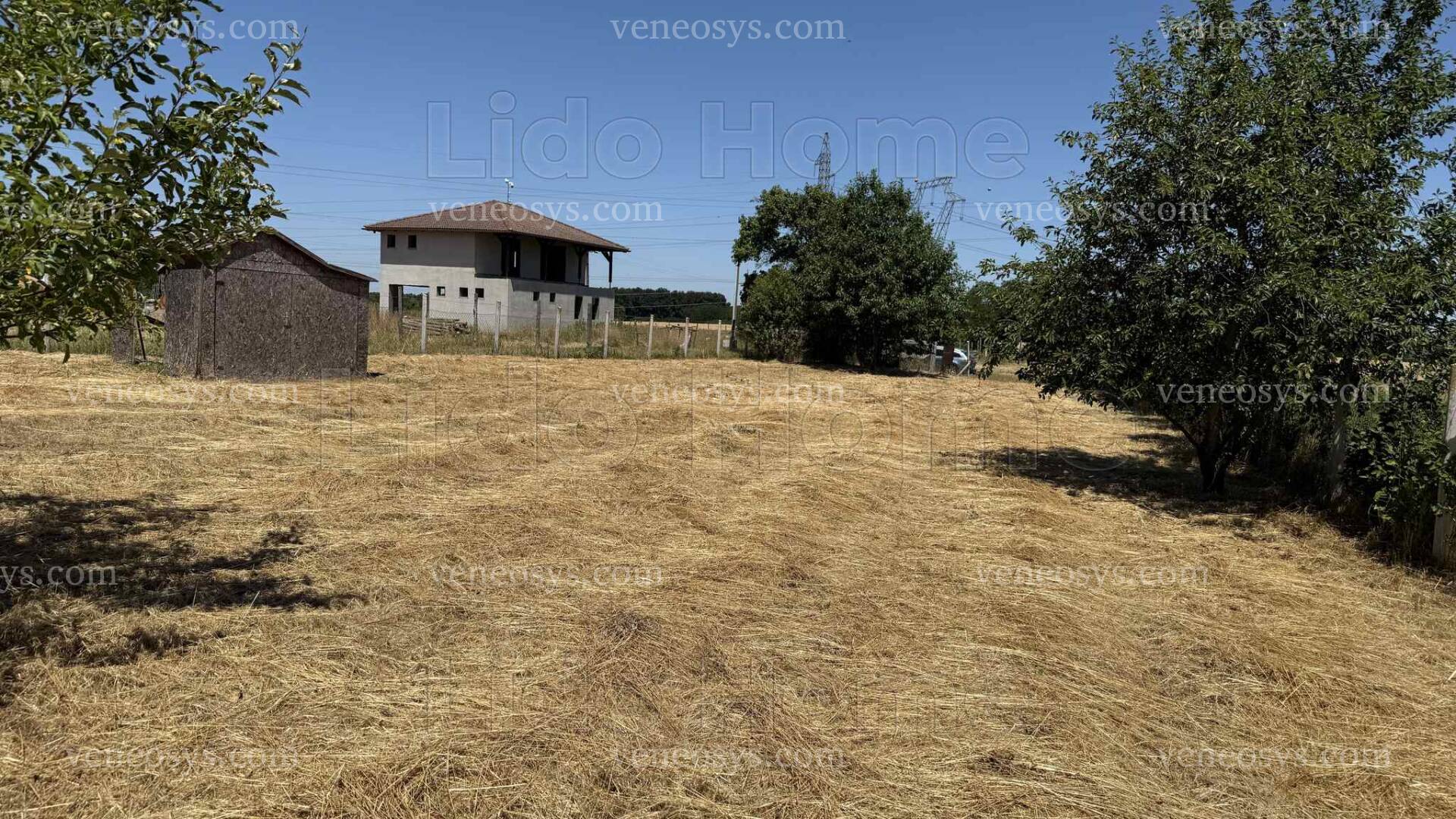 Kép 5