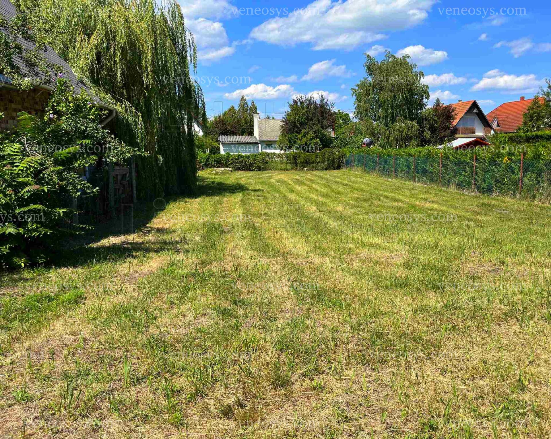 Kép 5