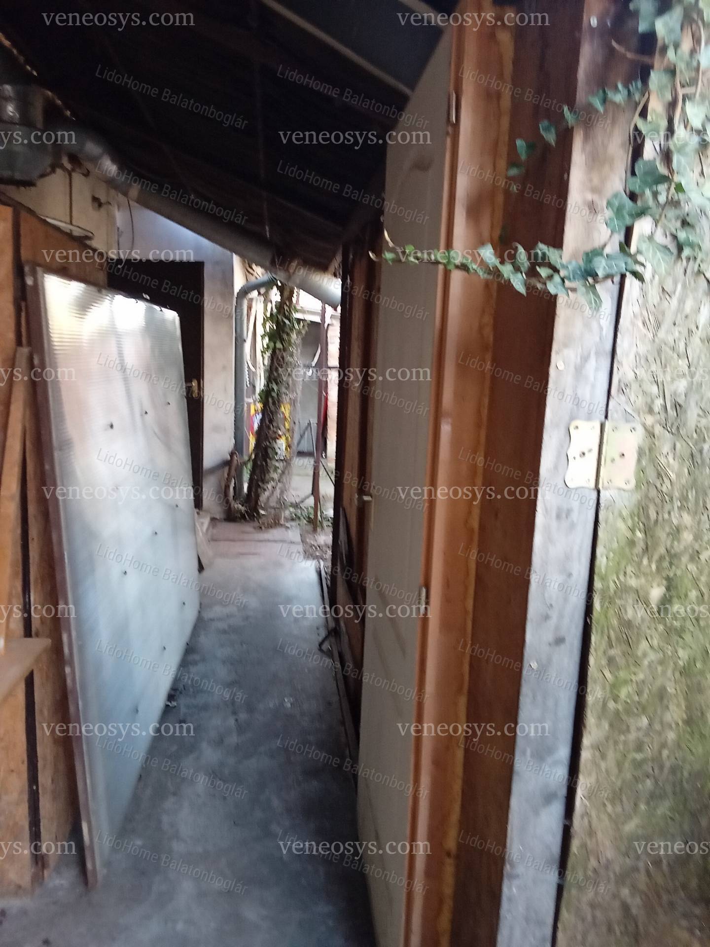 Kép 4