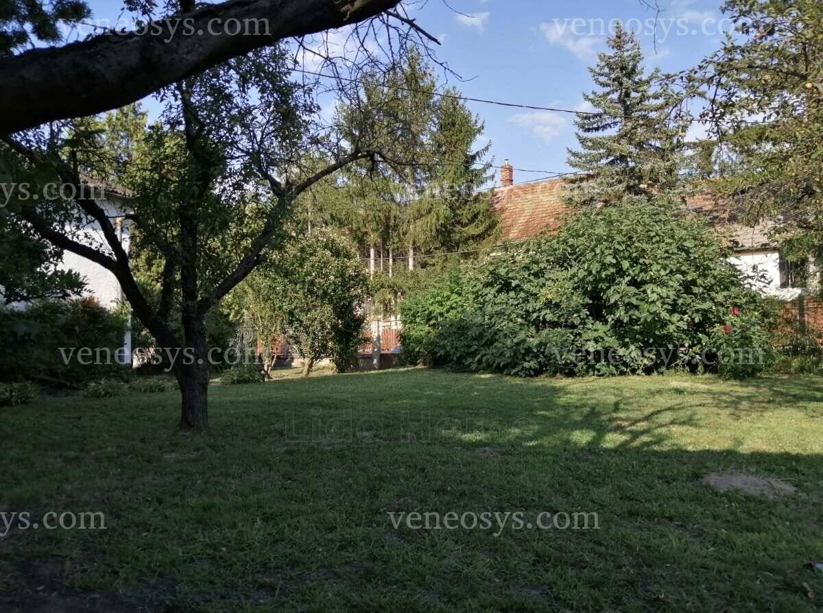 Kép 16