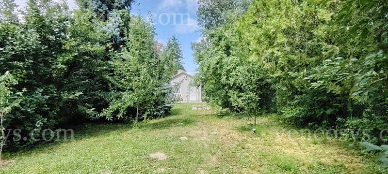 Kép 5