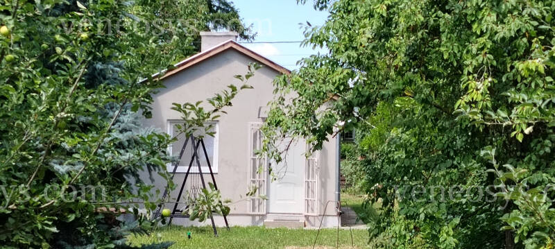Kép 6