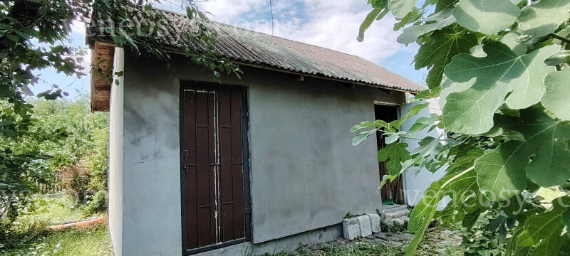 Kép 7