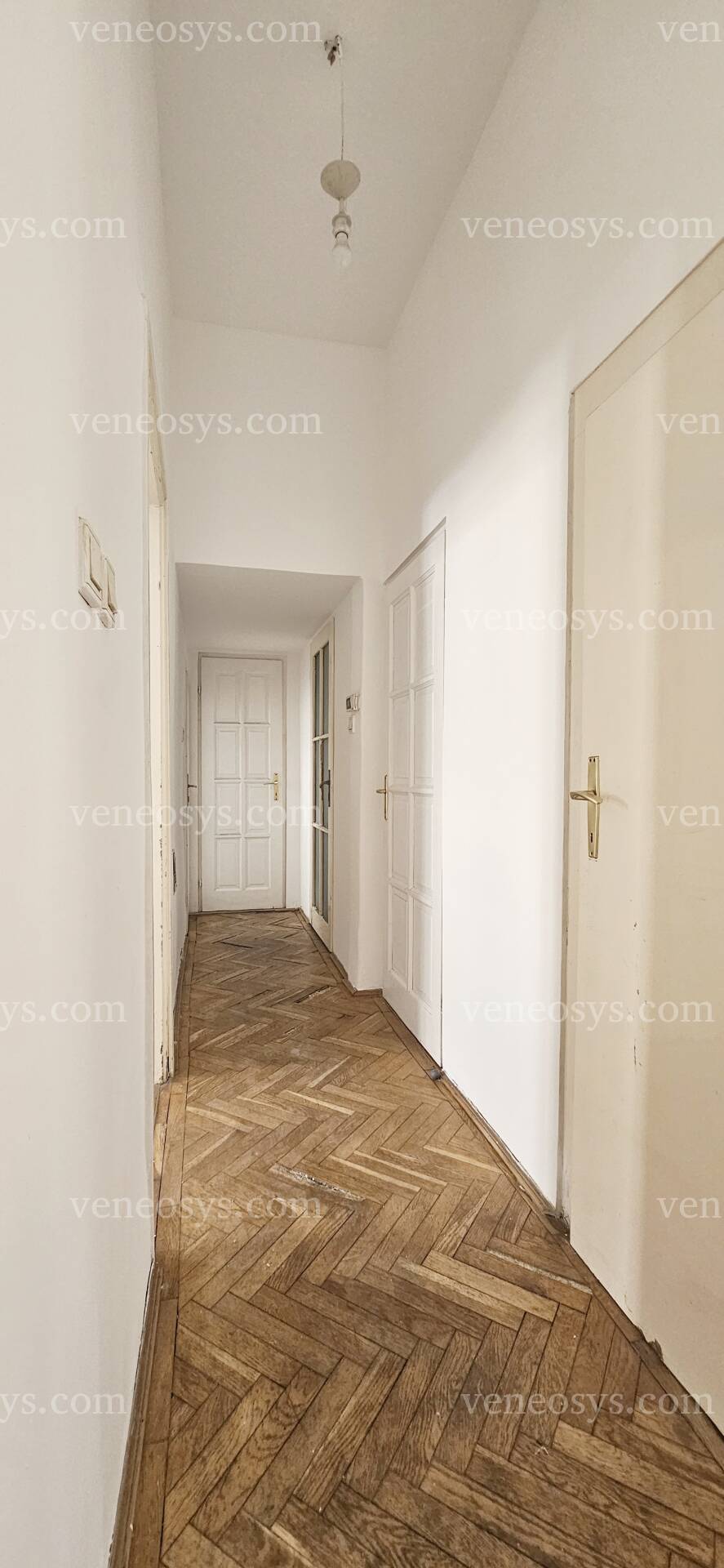 Kép 10