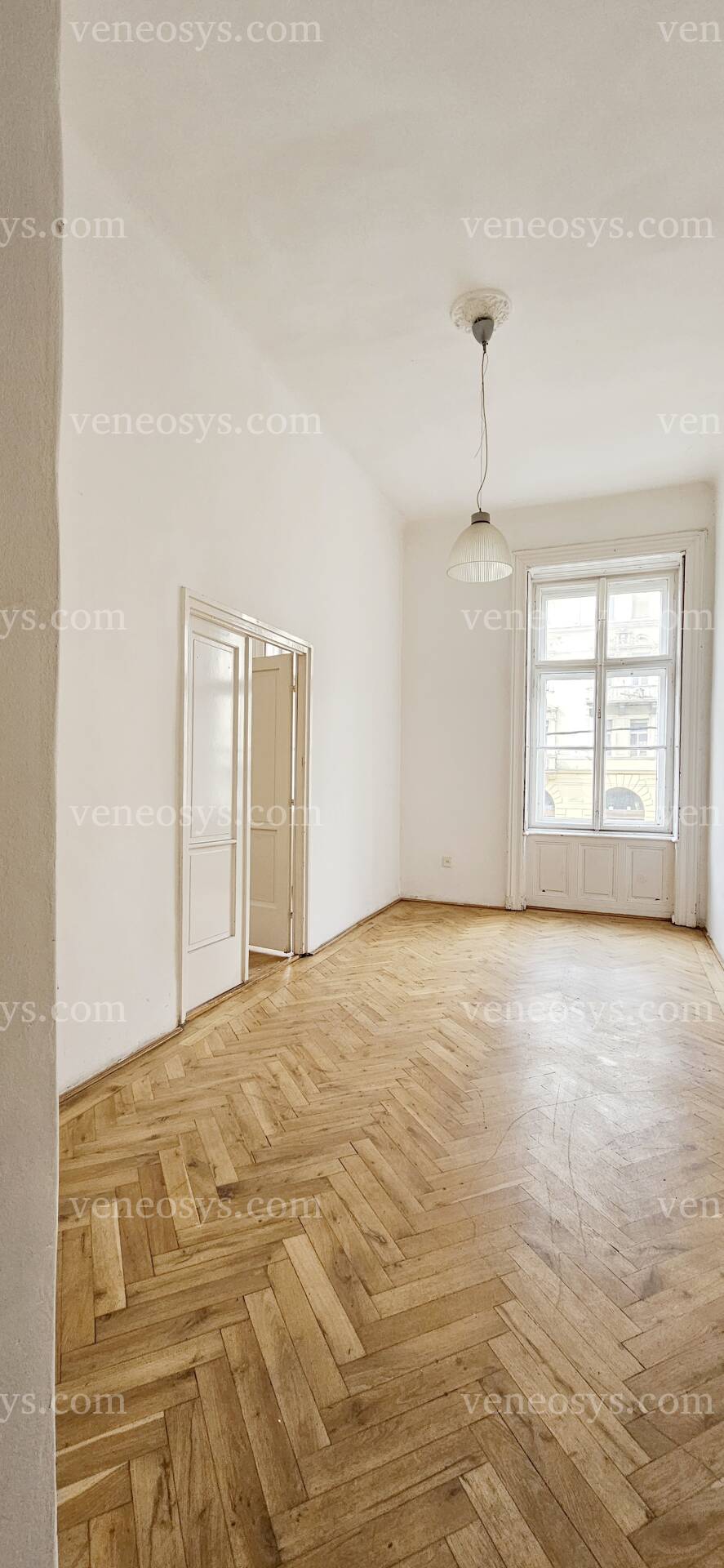 Kép 5