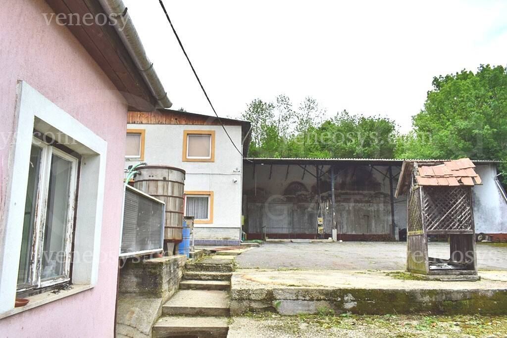 Kép 4