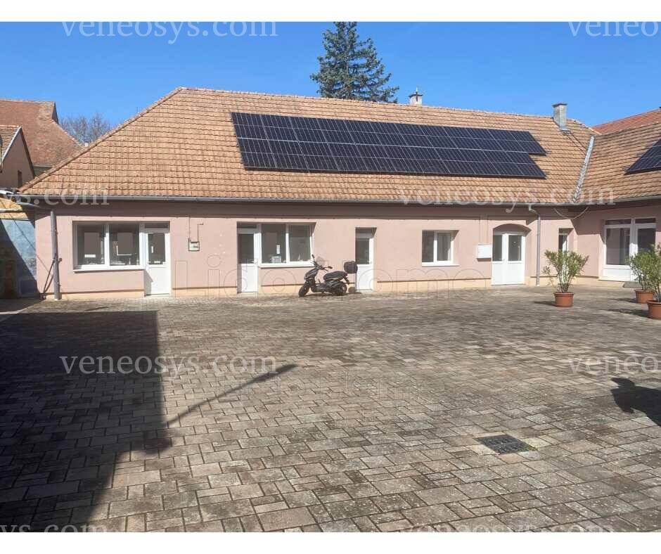 Kép 10