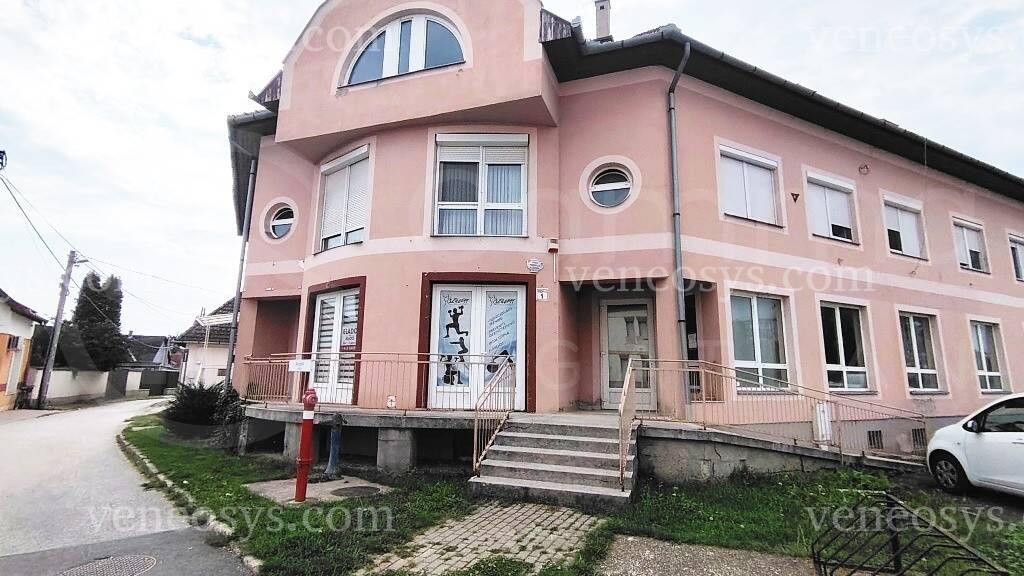 Kép 10