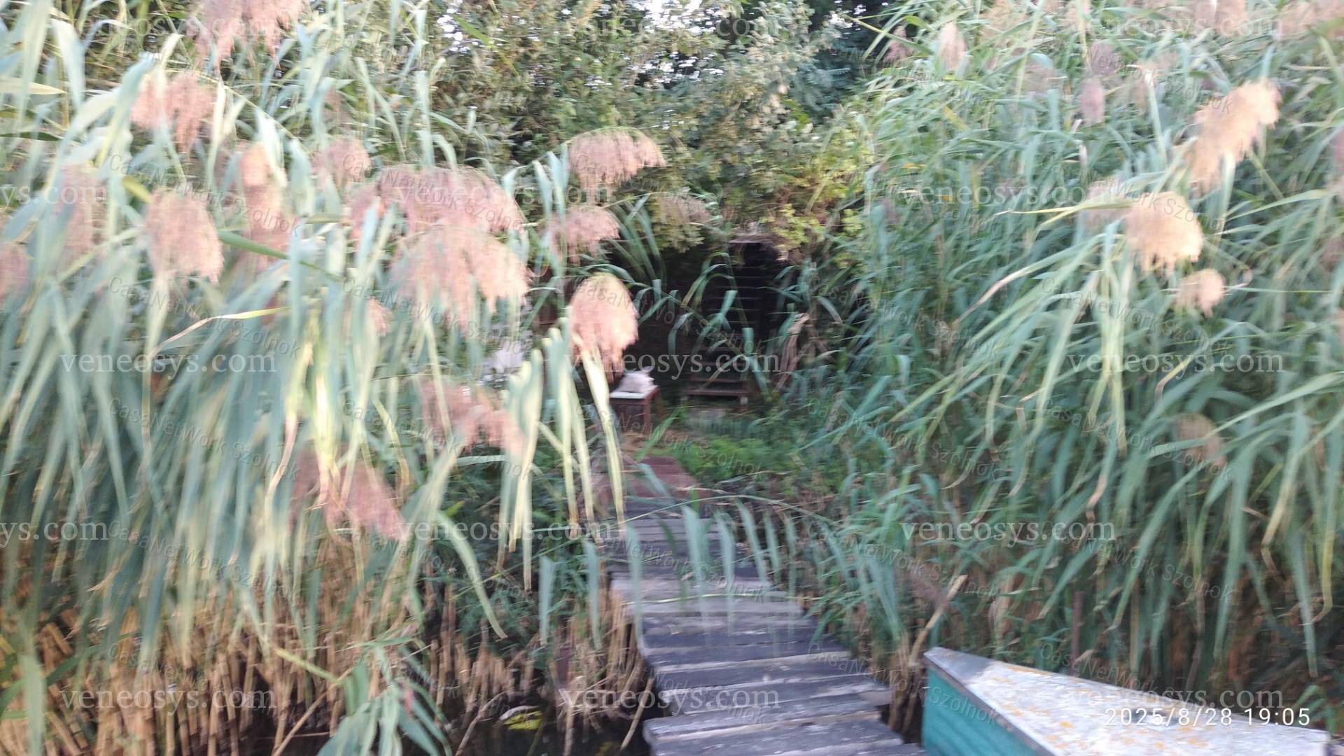 Kép 29
