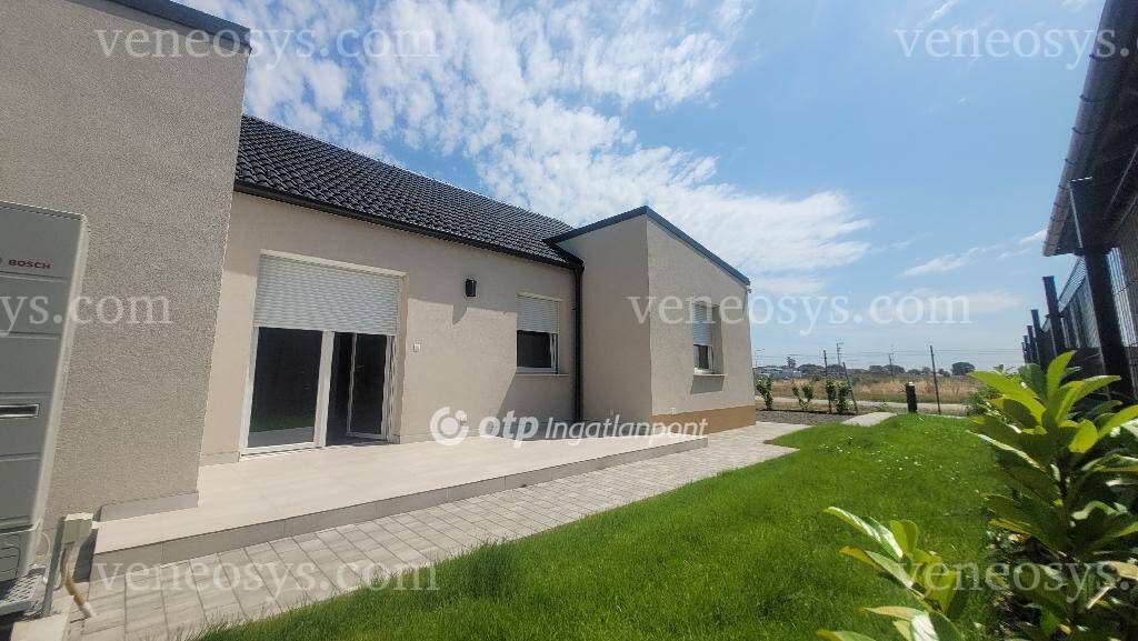 Kép 4