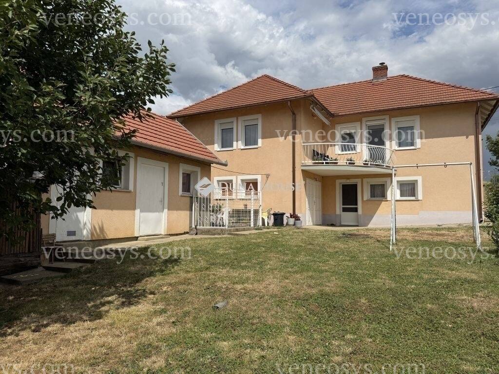 Kép 6