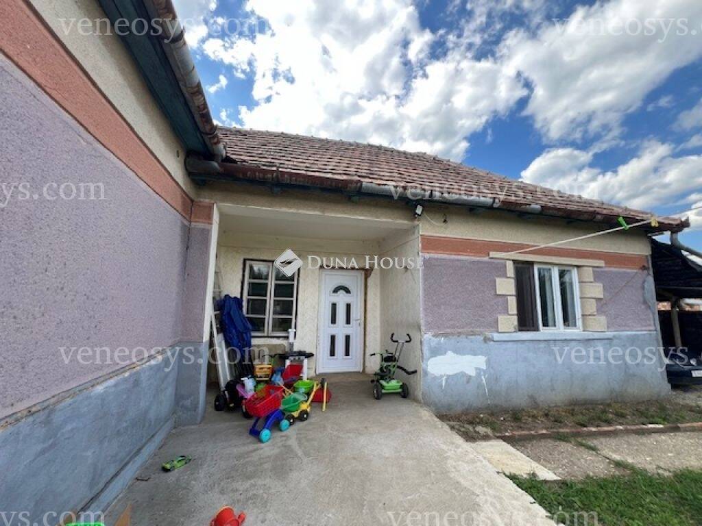 Kép 11