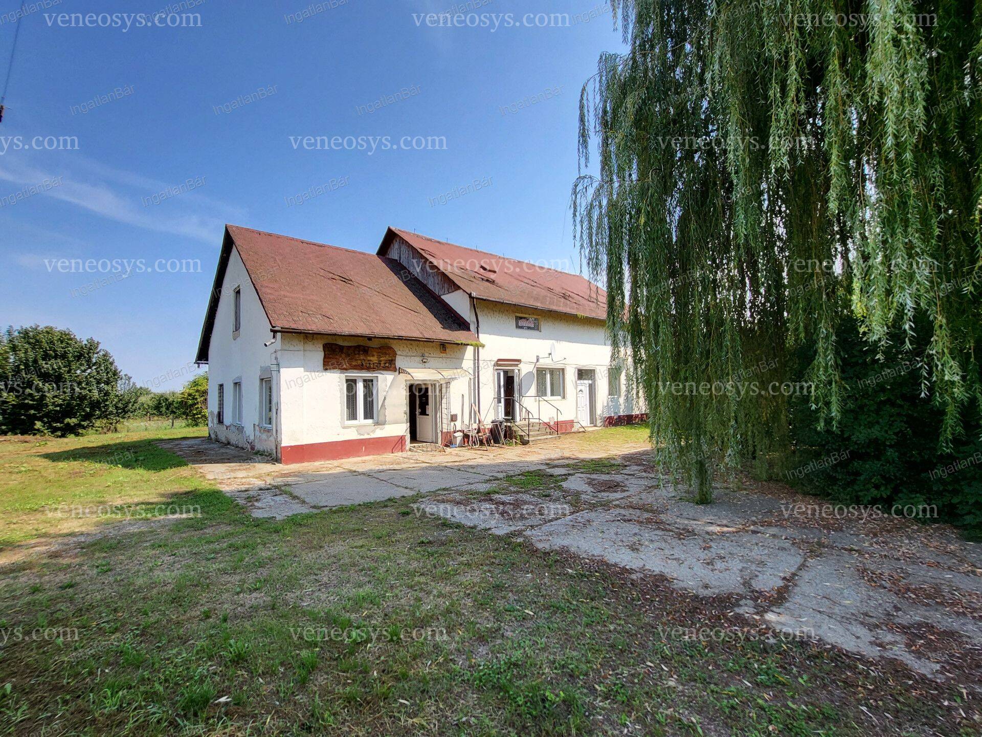Kép 4