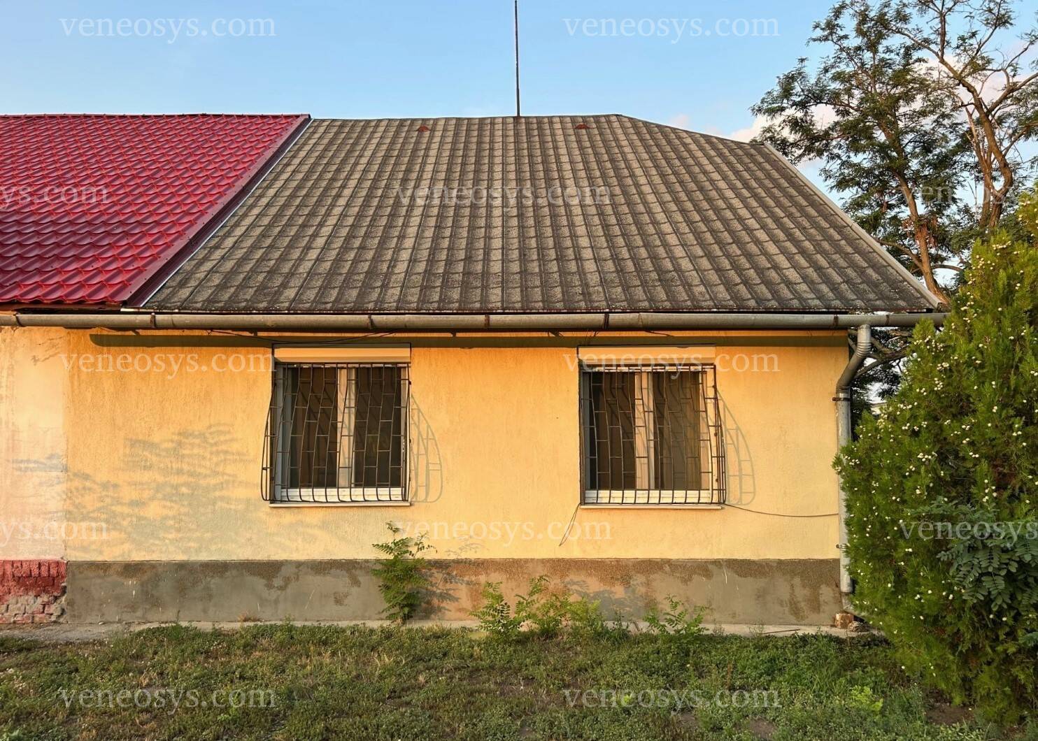 Kép 5