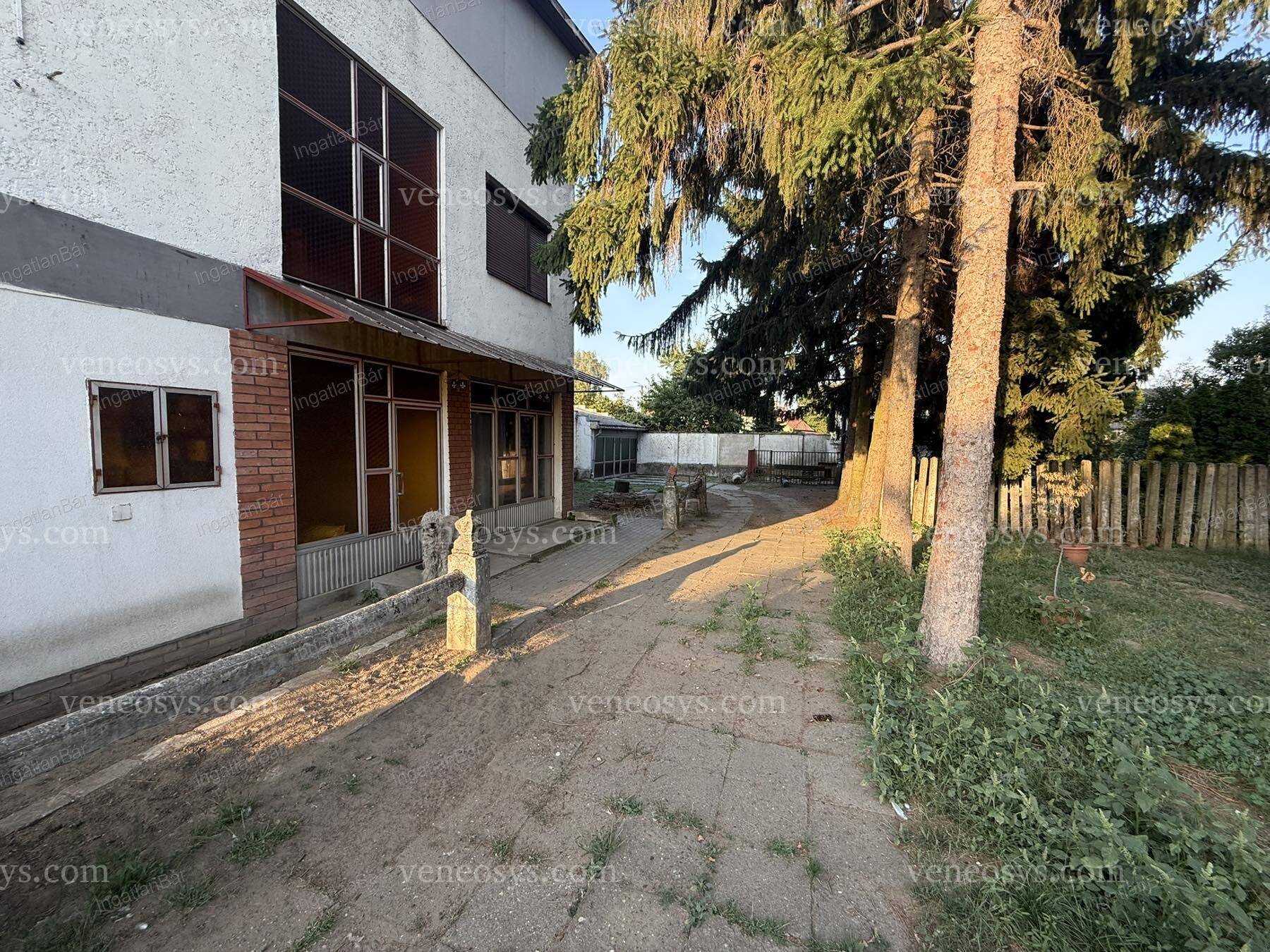 Kép 4