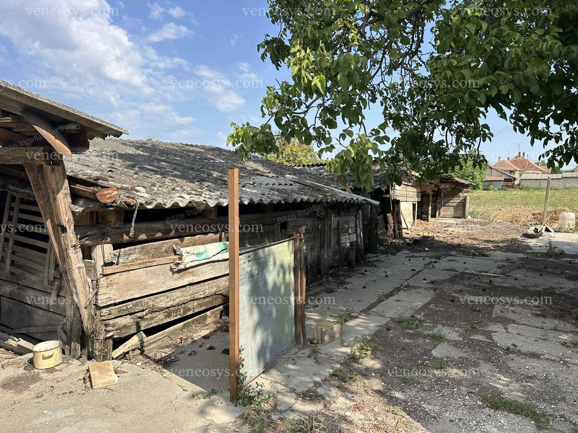Kép 23