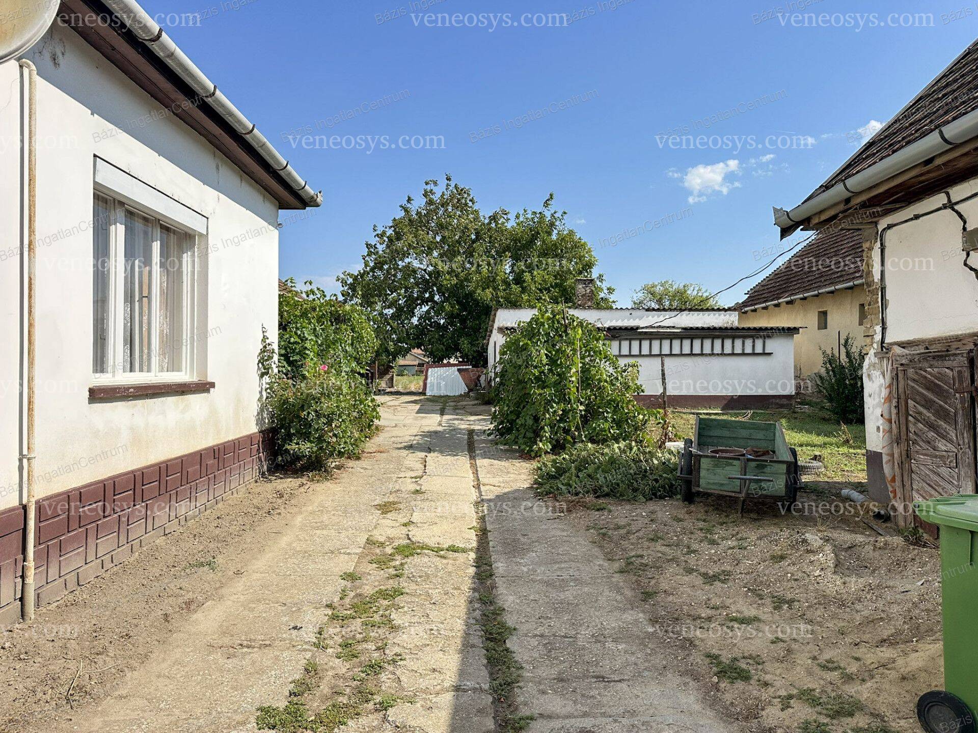 Kép 20