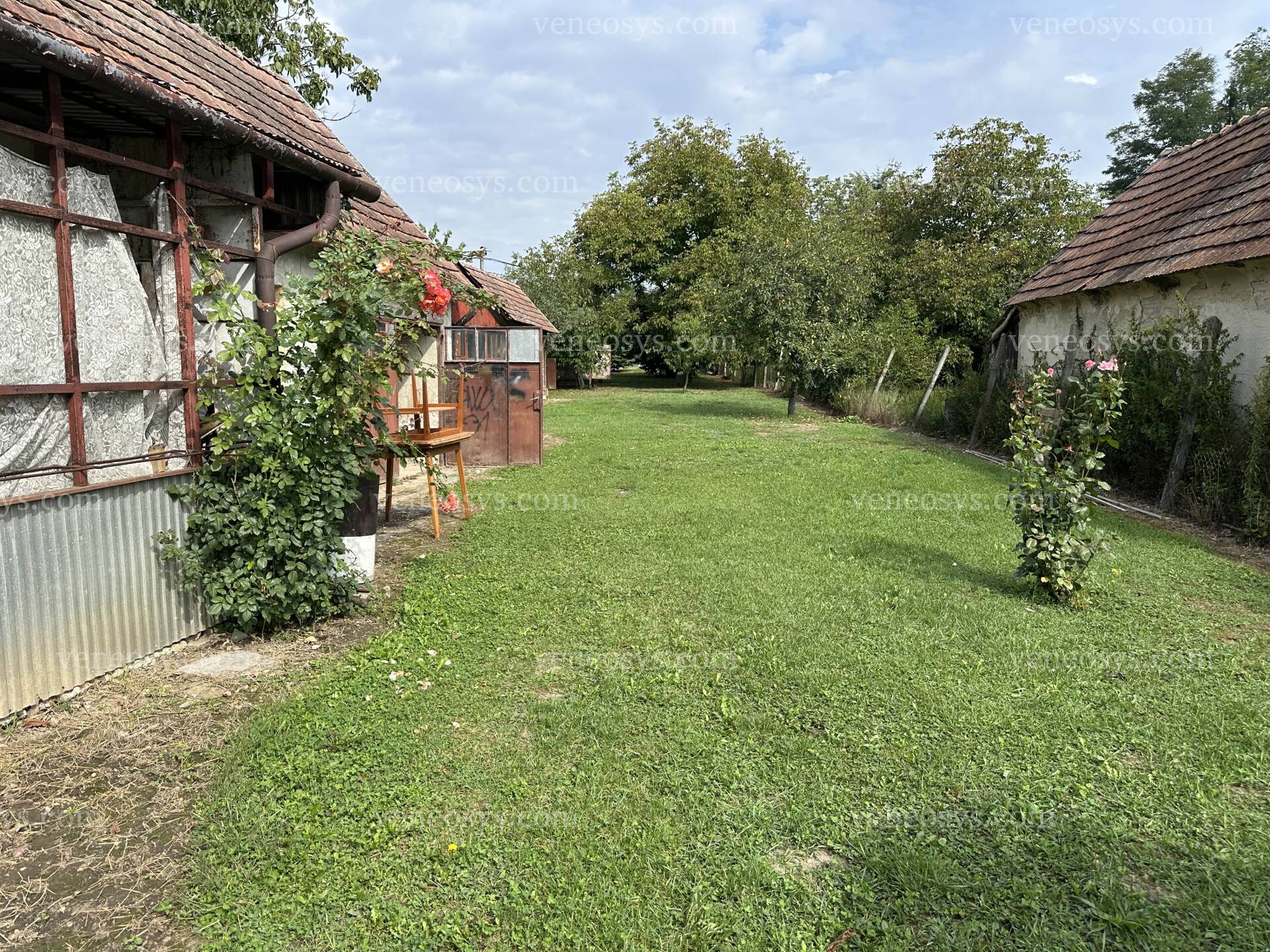 Kép 16
