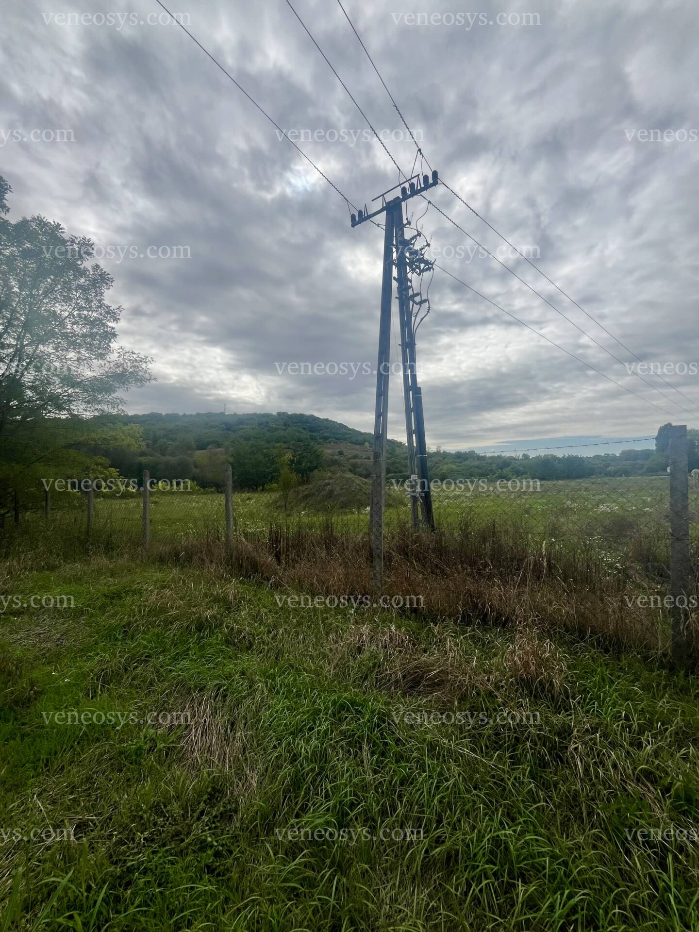 Kép 6