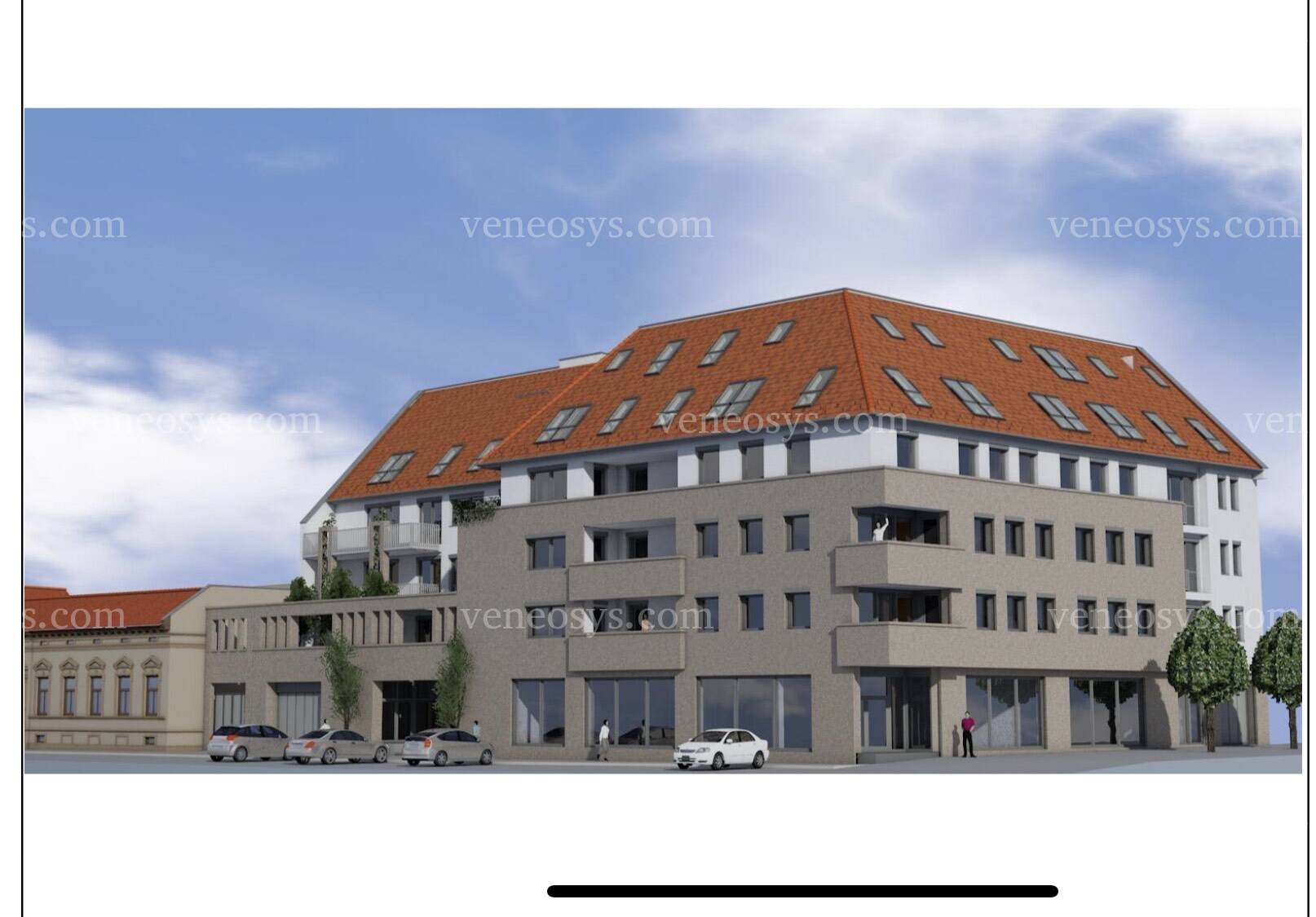 Kép 5