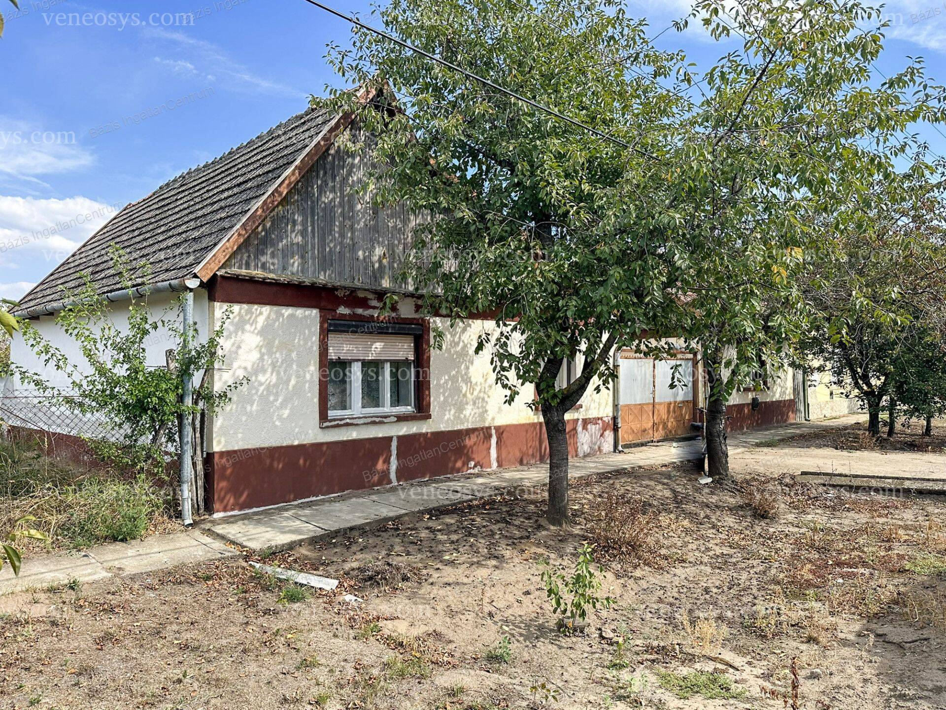 Kép 13
