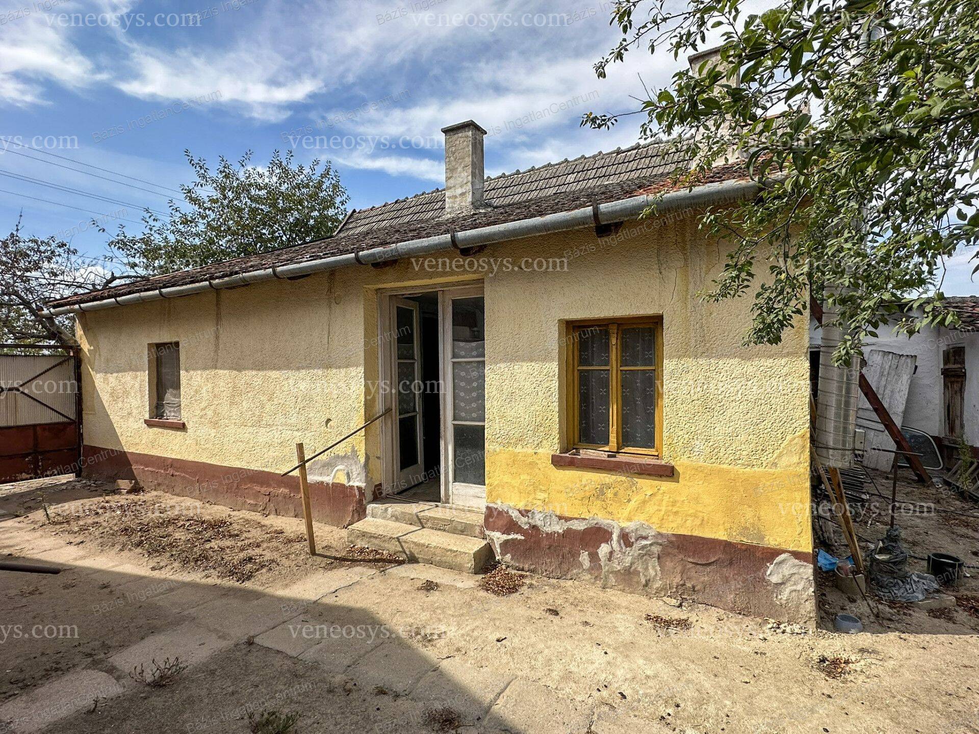 Kép 11