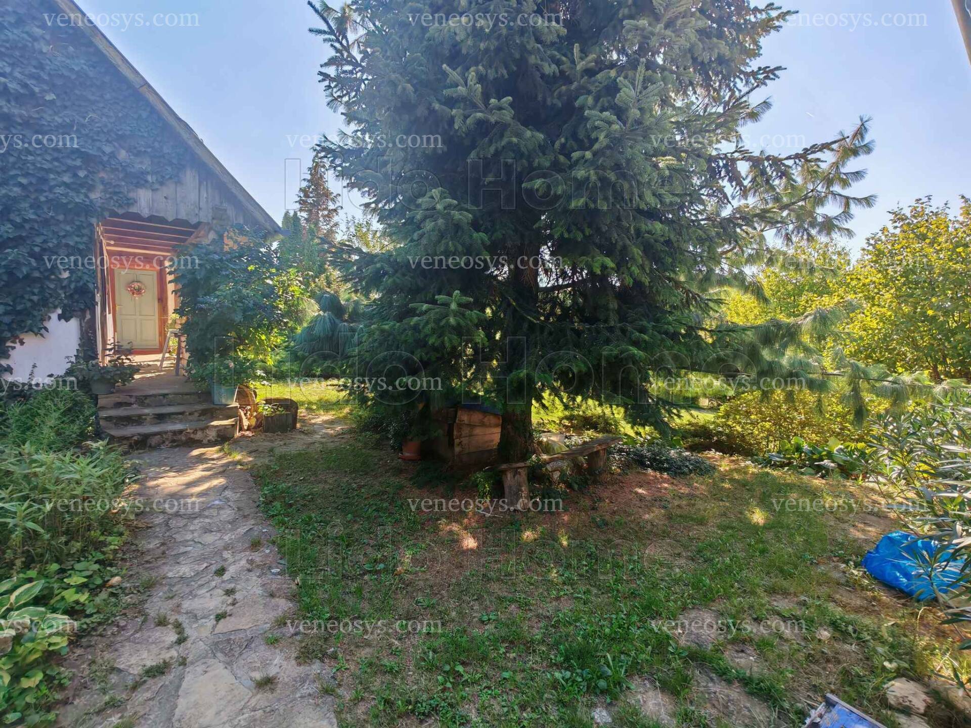 Kép 19