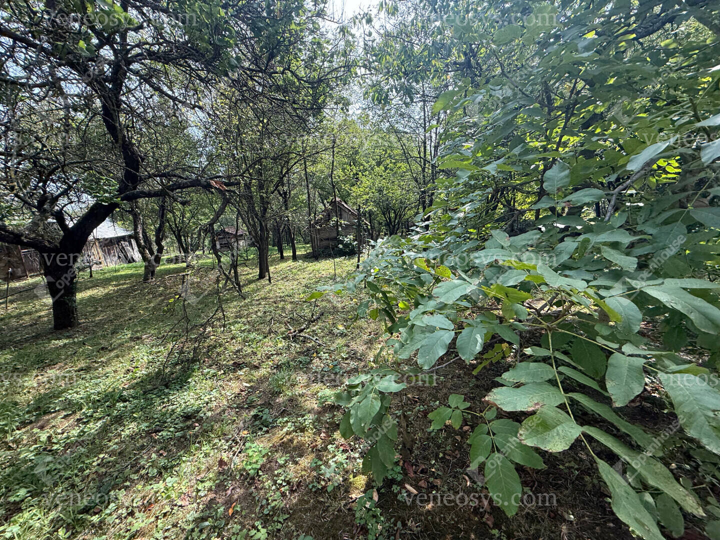 Kép 15