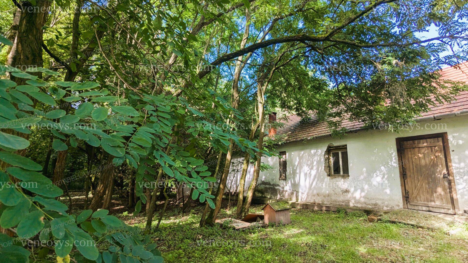 Kép 18