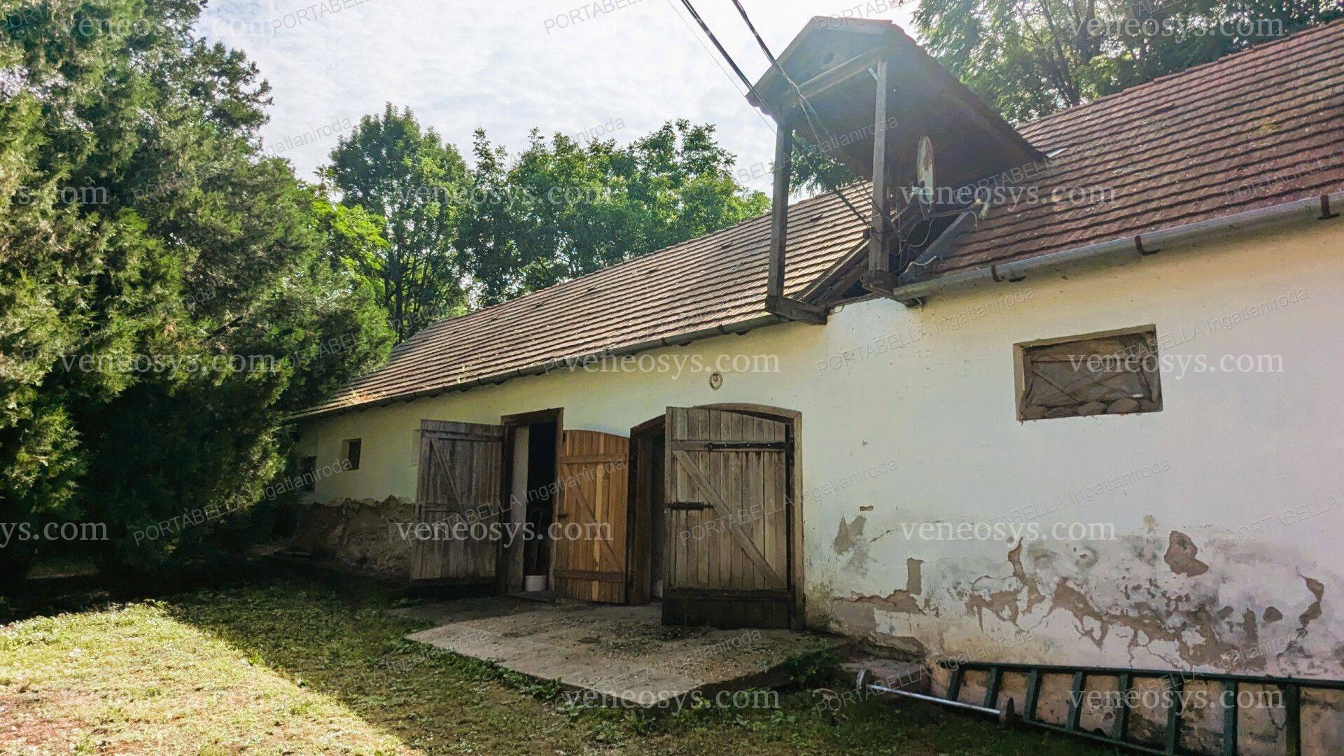 Kép 19
