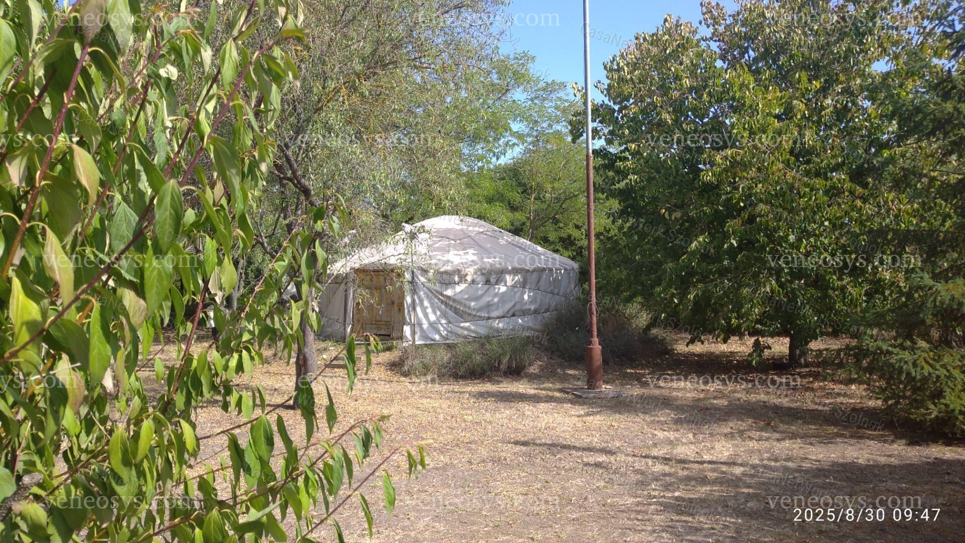 Kép 8