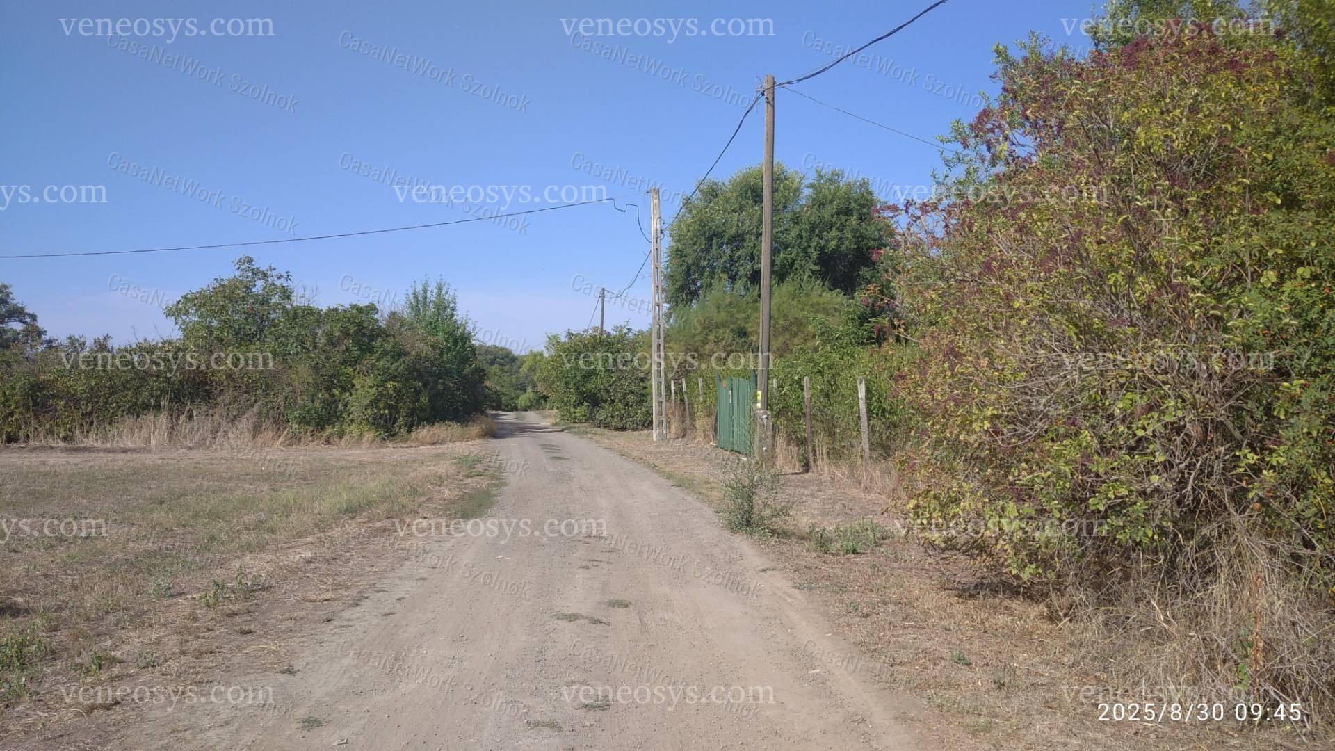 Kép 5
