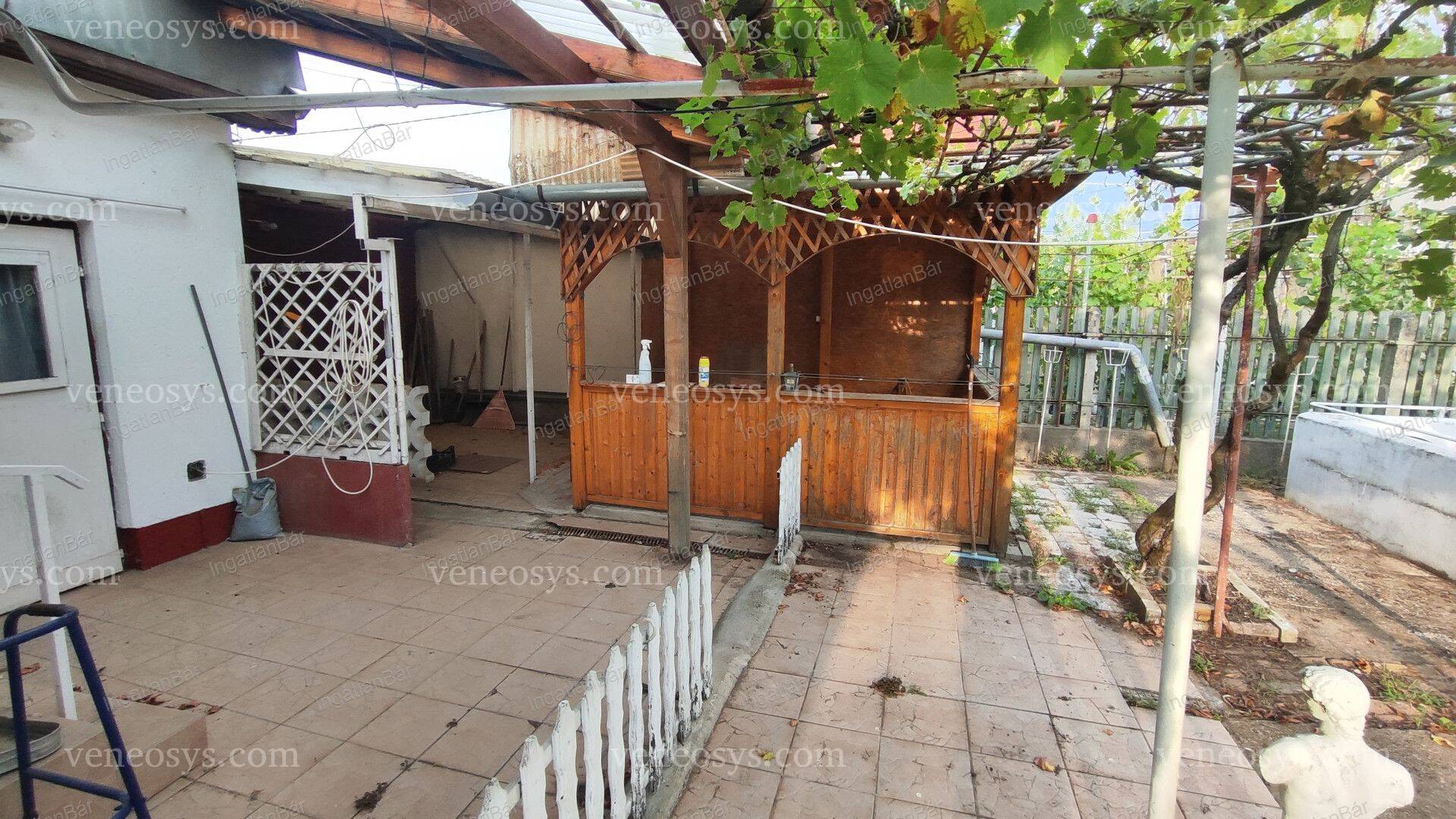 Kép 12