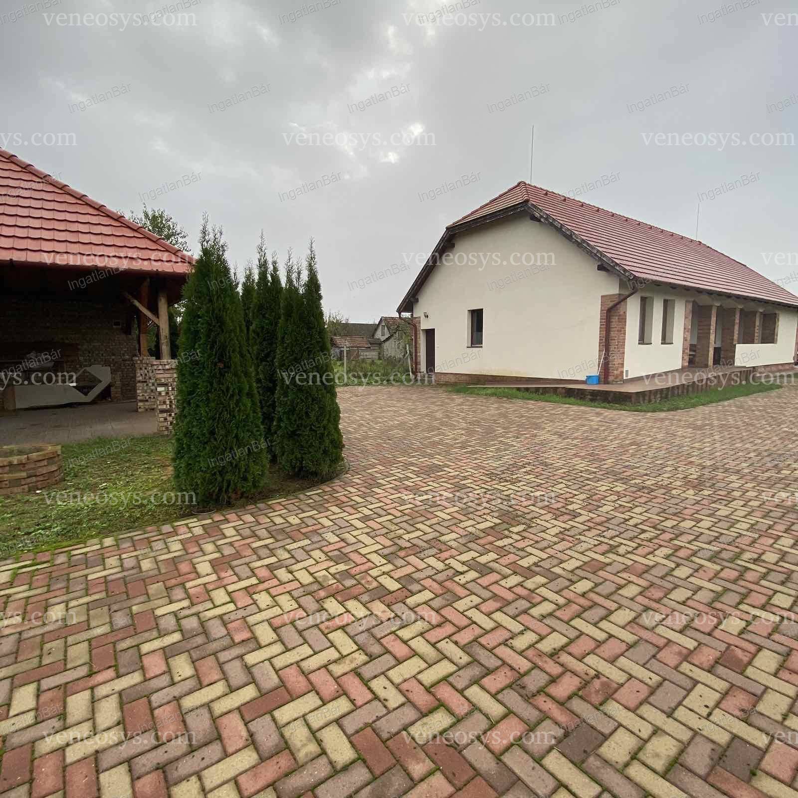 Kép 19