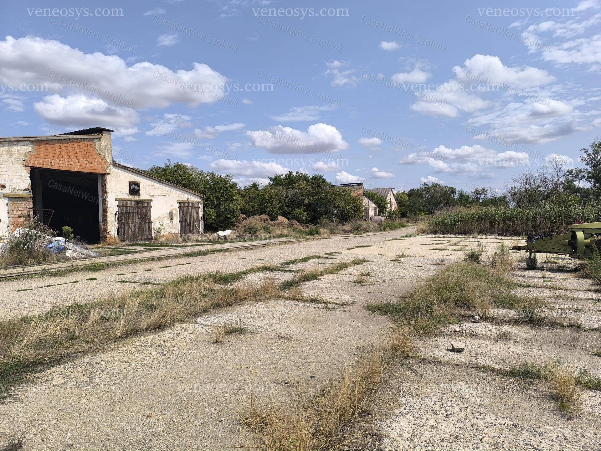 Kép 14
